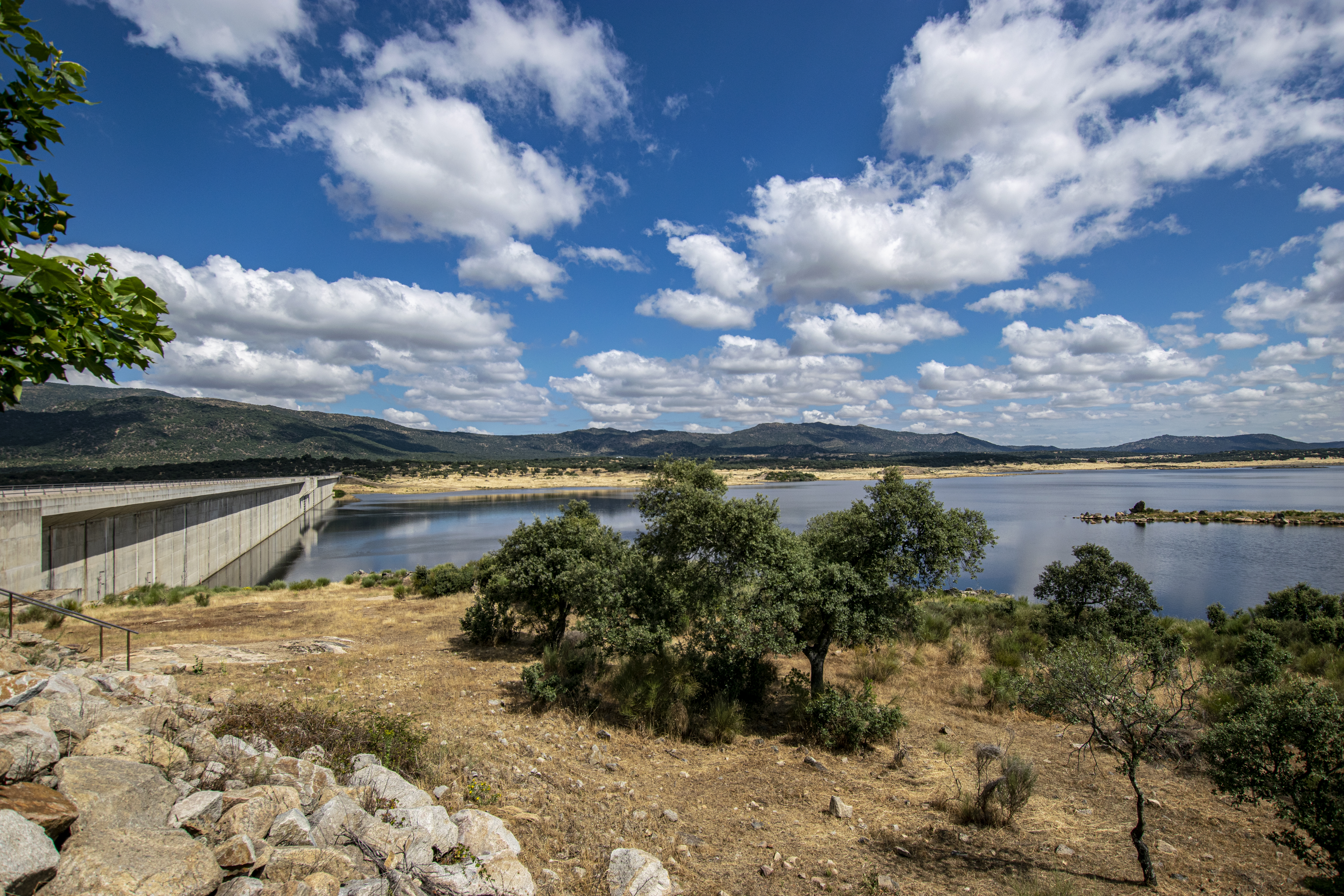 Presa de Búrdalo. 2021