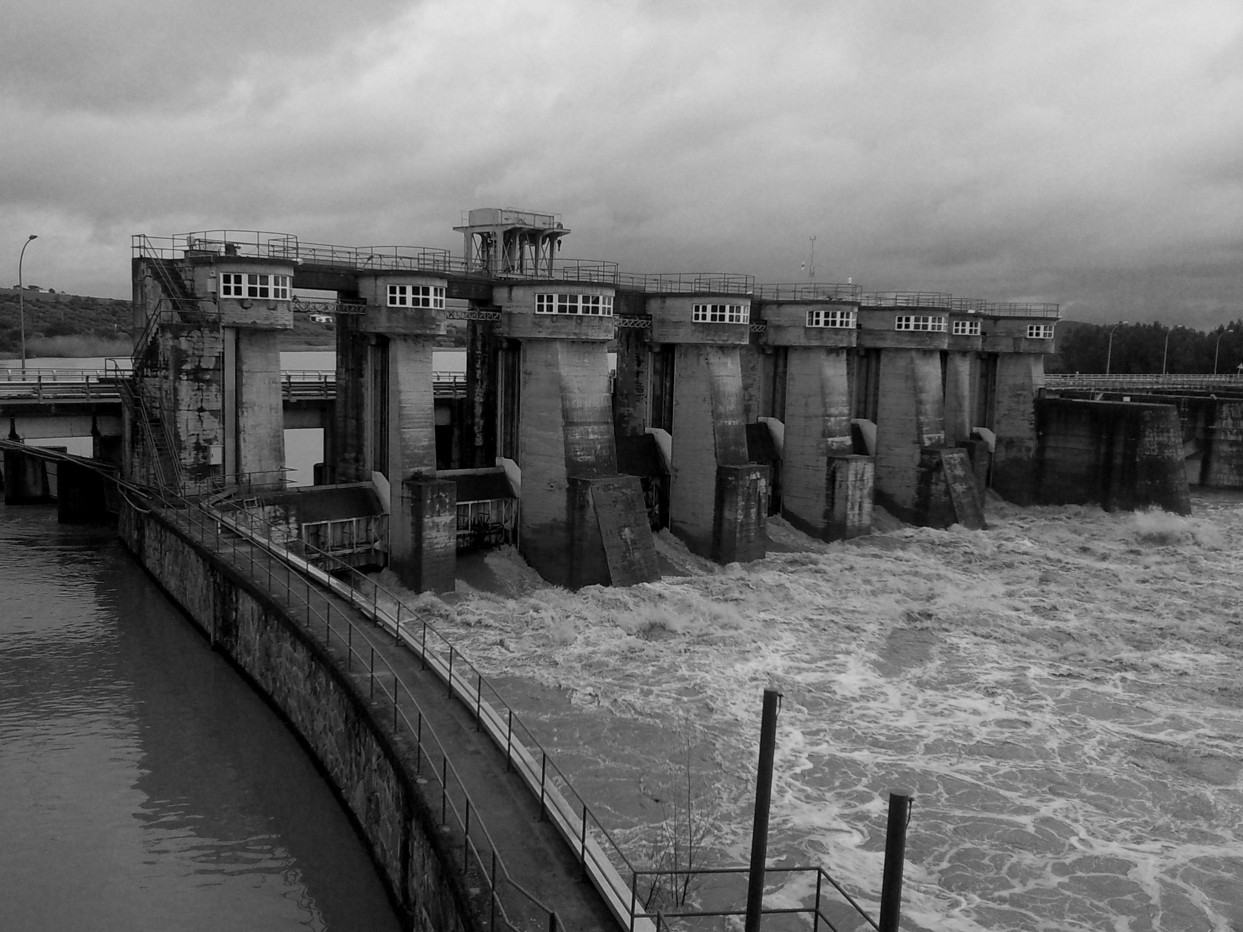 Presa de Montijo. 2010