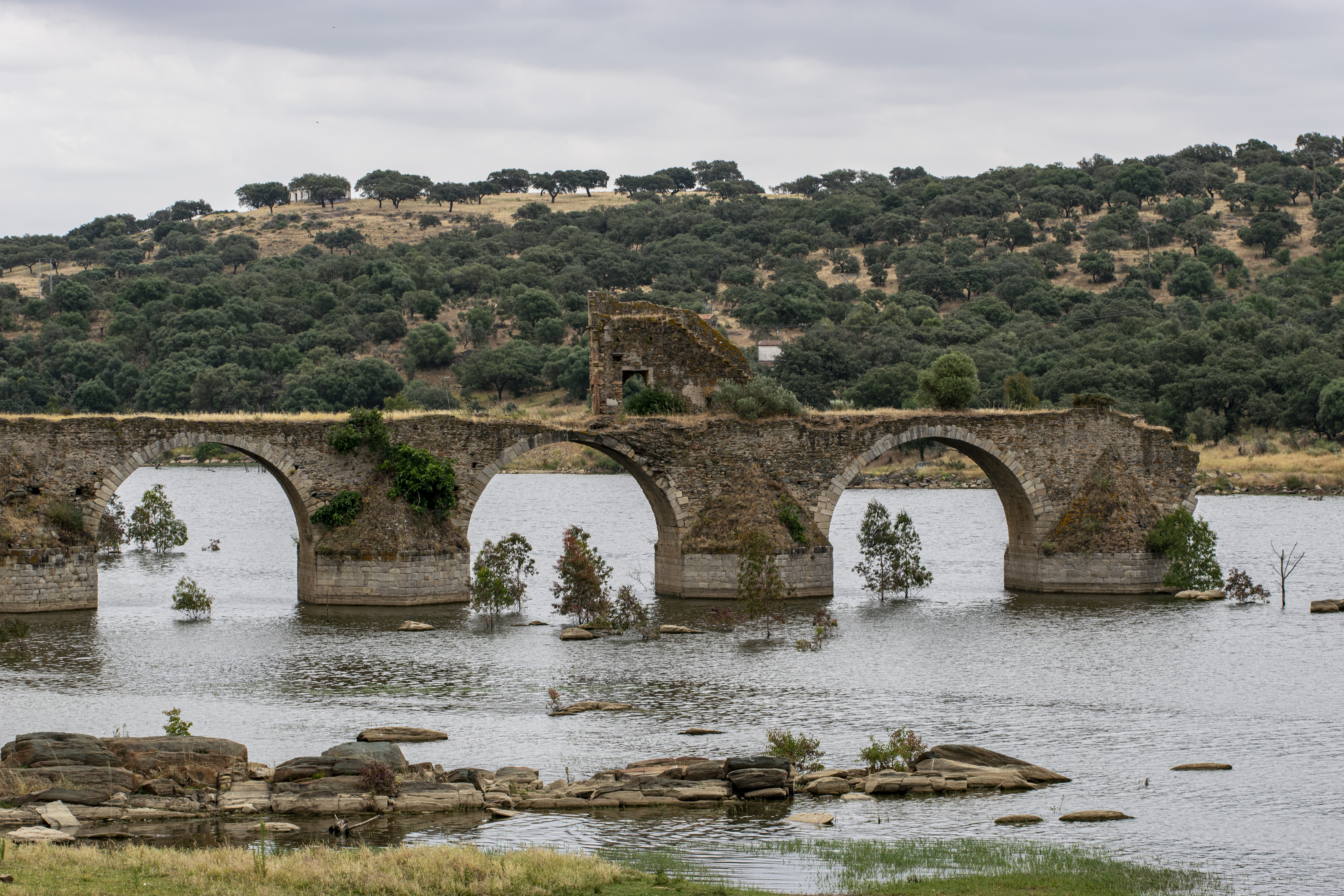 Guadiana por Puente Ajuda. 2021