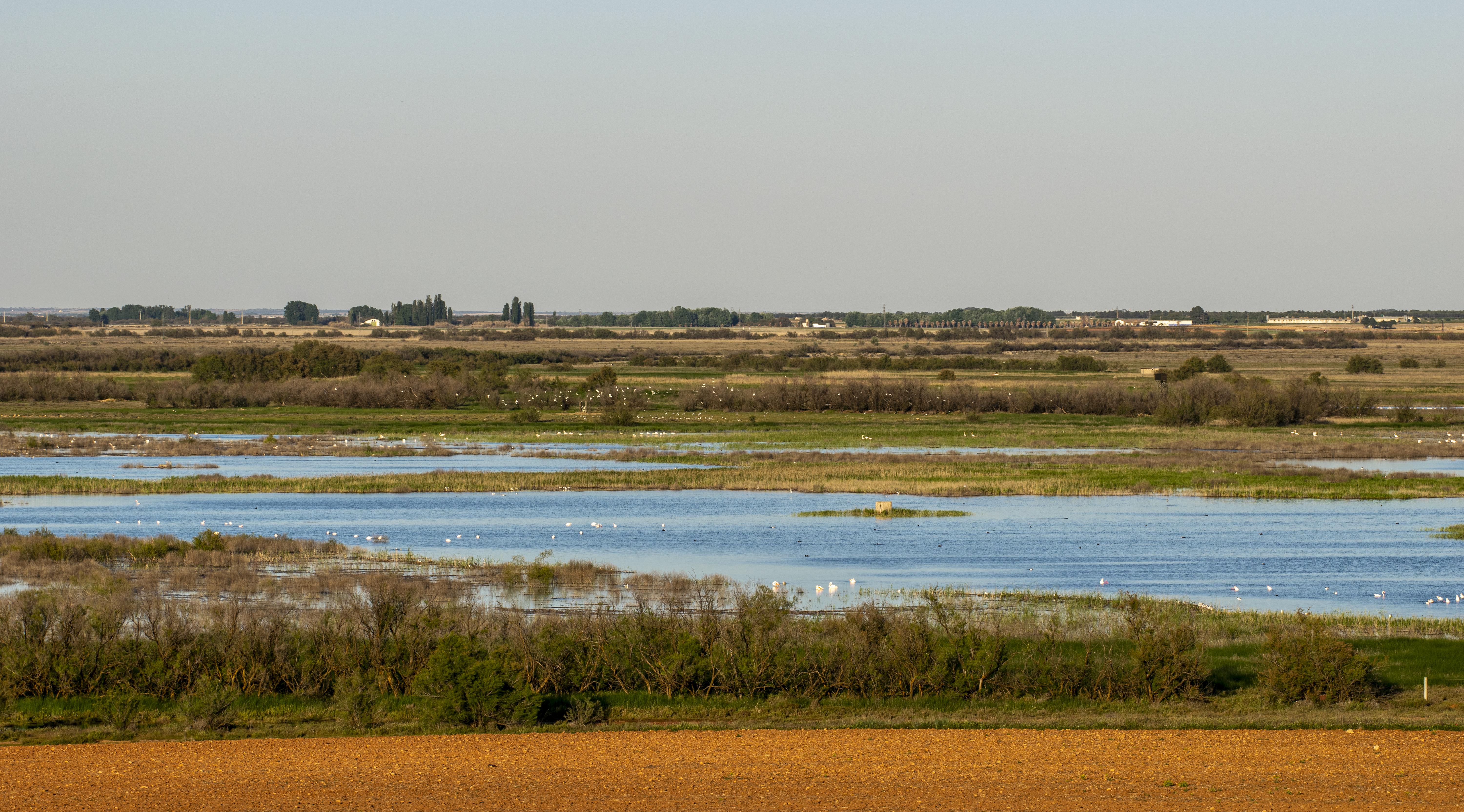 Lagunas Villacañas. 2021