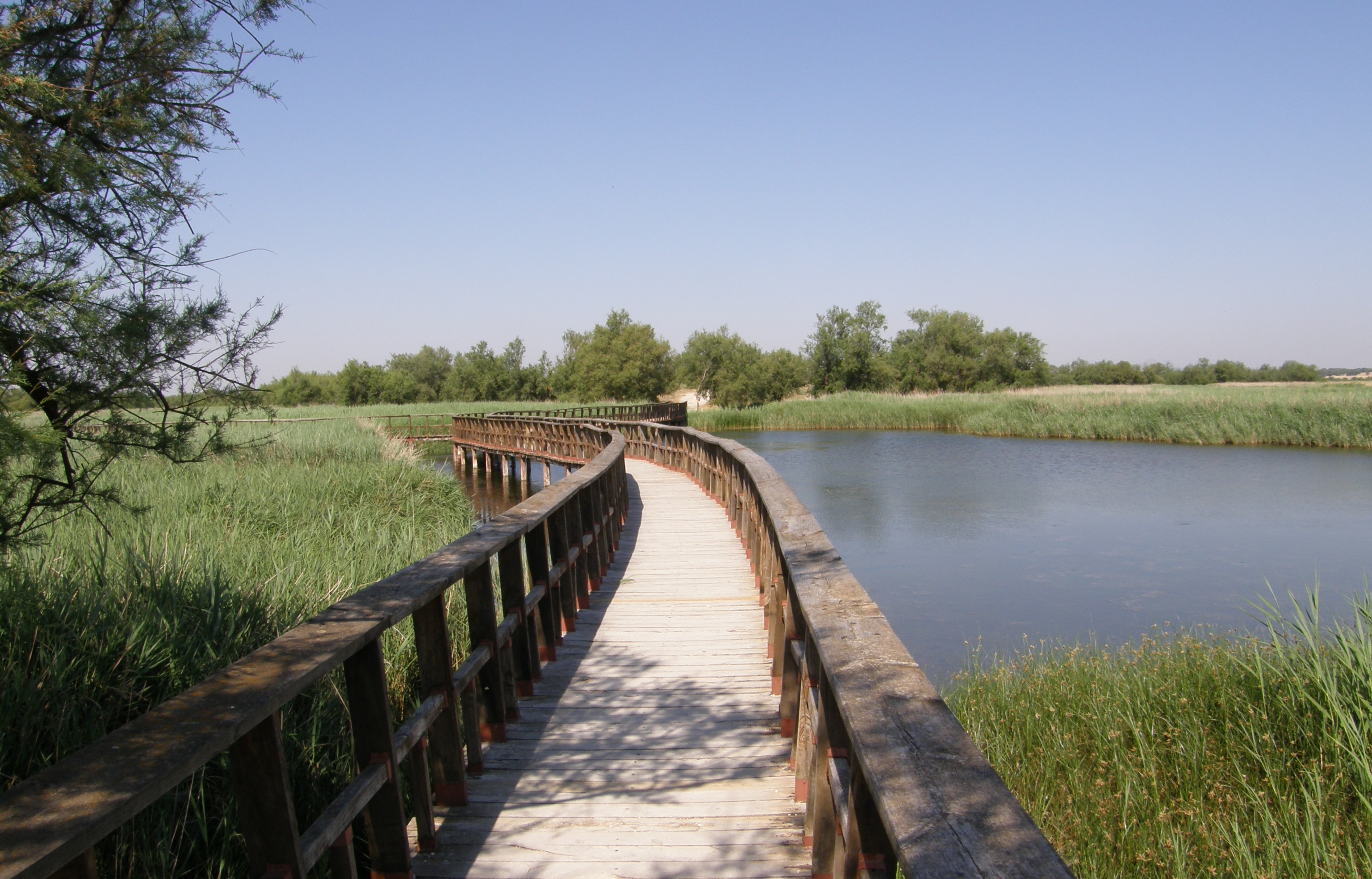 Parque Nacional de Las Tablas de Daimiel. 2007