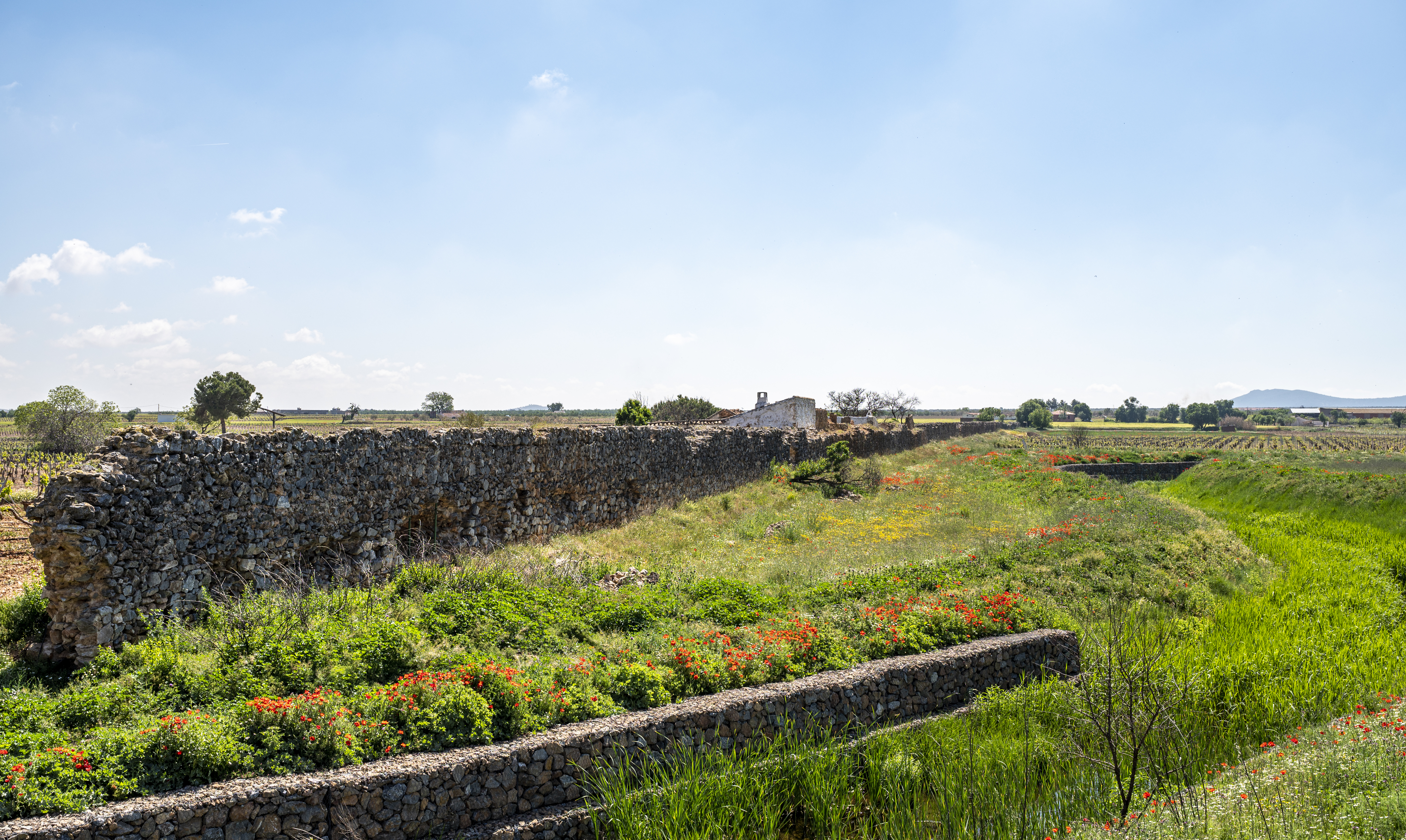 Presa romana Consuegra. 2021