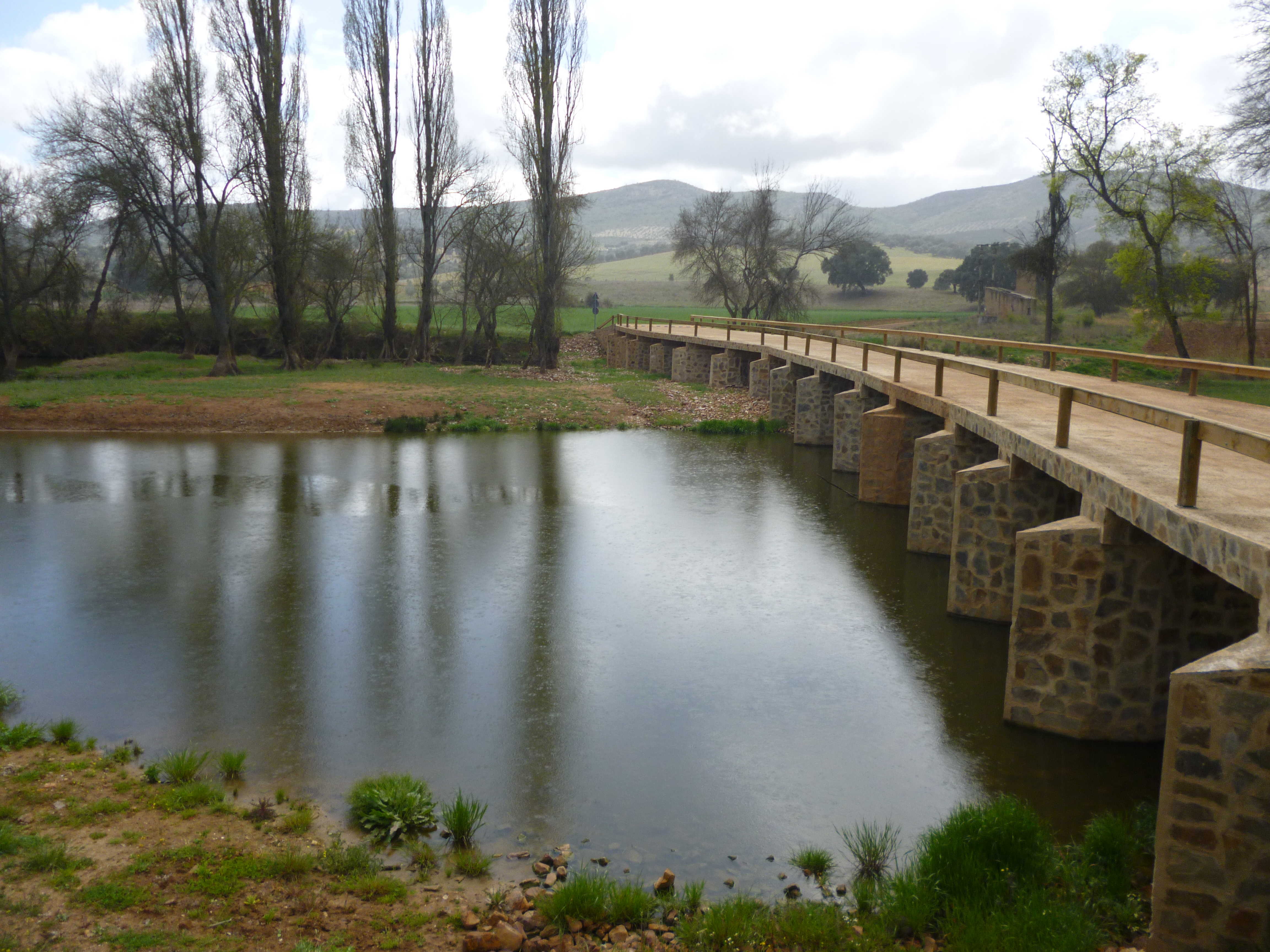 Puente en Portico de Luciana. 2012