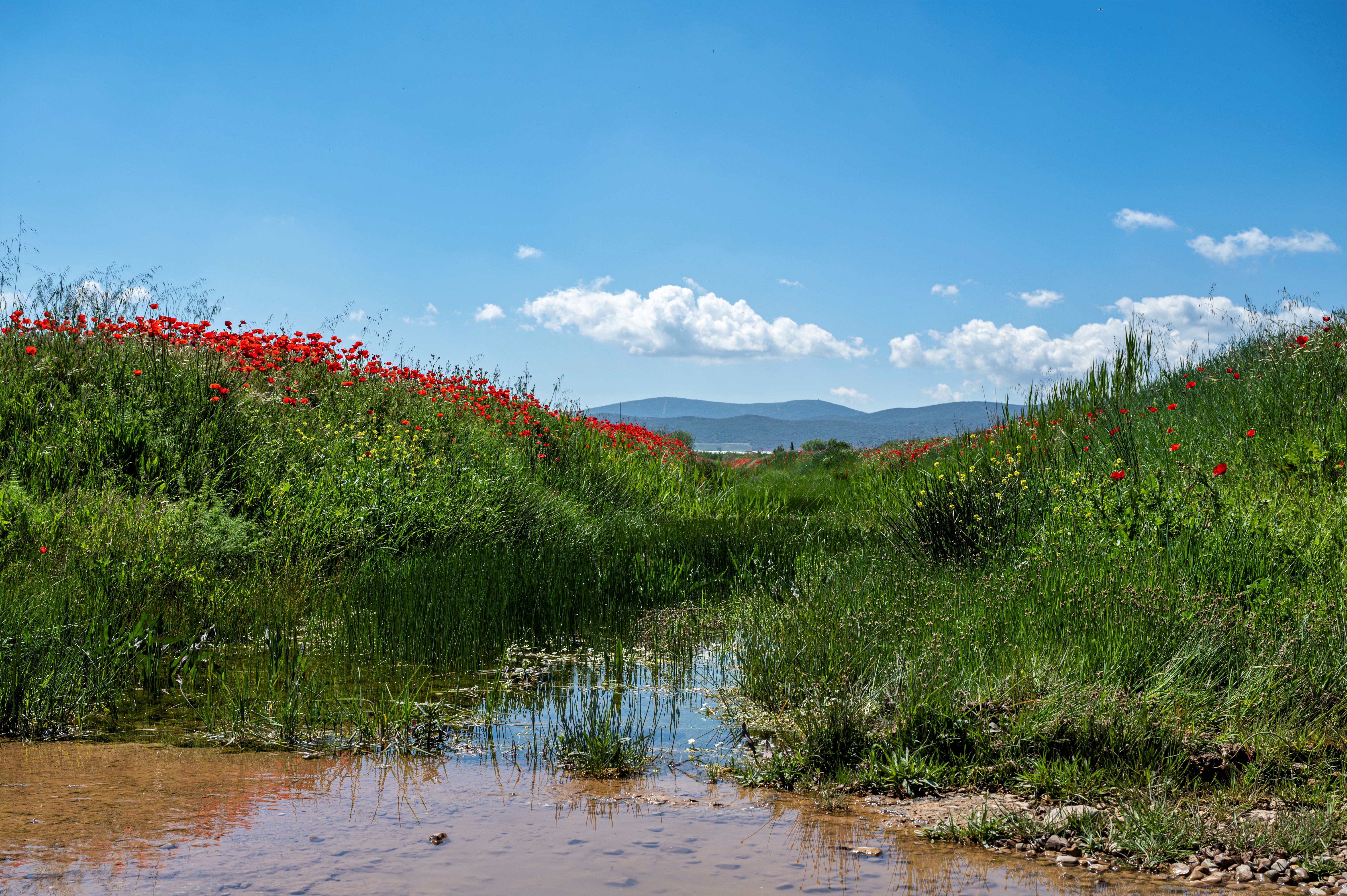 Río Amarguillo. 2021