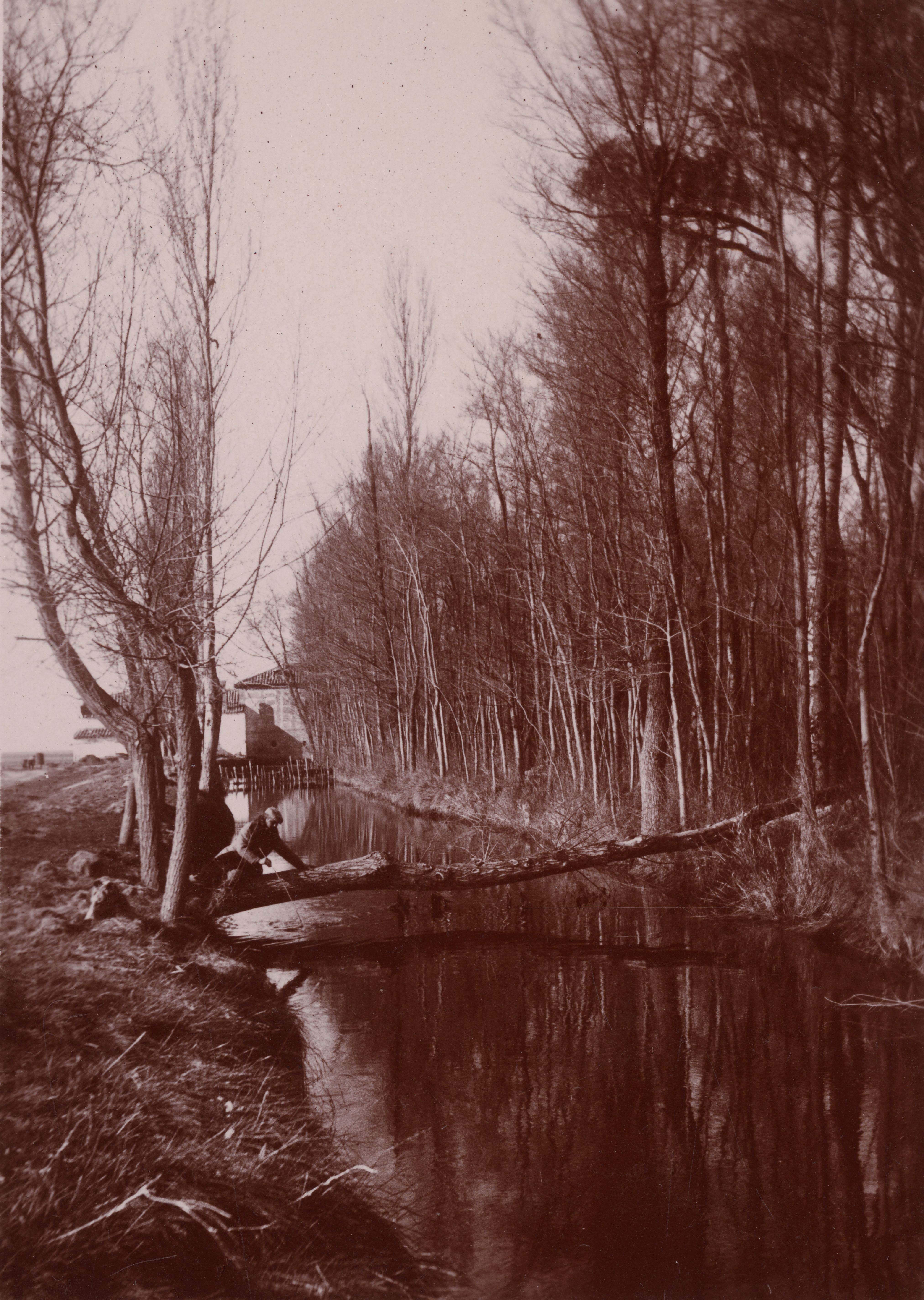 Río Cigüela y Molino de Botifuera. Sin fechar