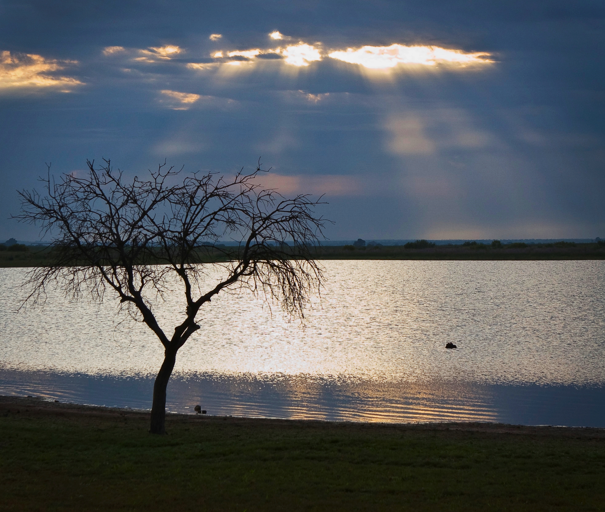 Embalse Canchales. 2008