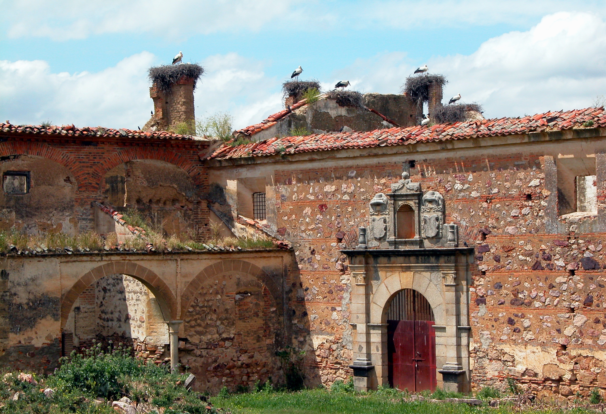 Puebla de Alcocer. Cigüeñas. 2003