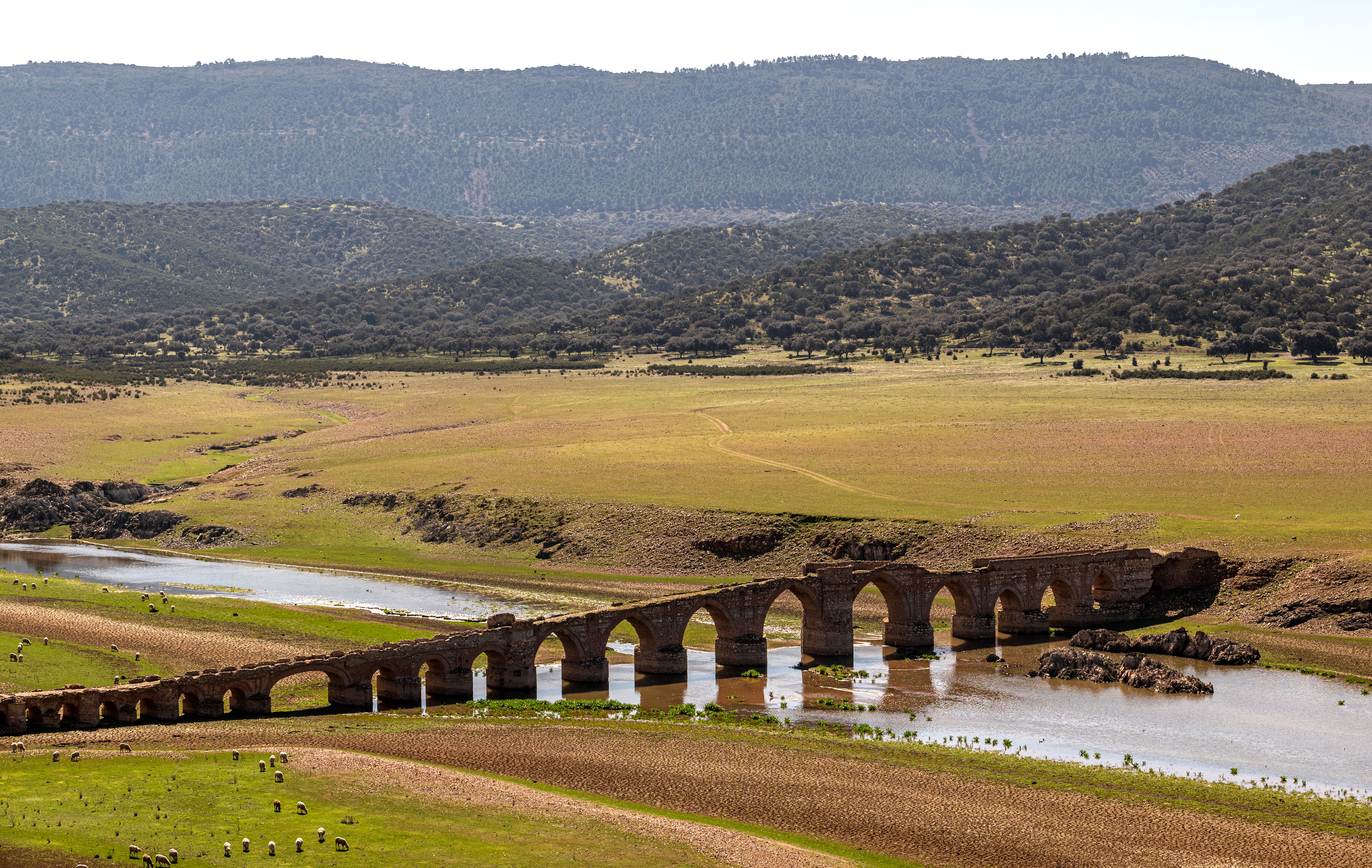 Puente de Mesta. 2022