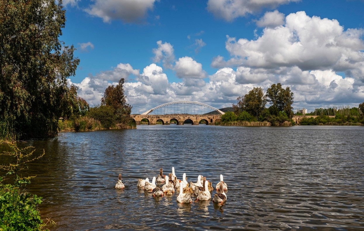 Puente romano Mérida. 2022