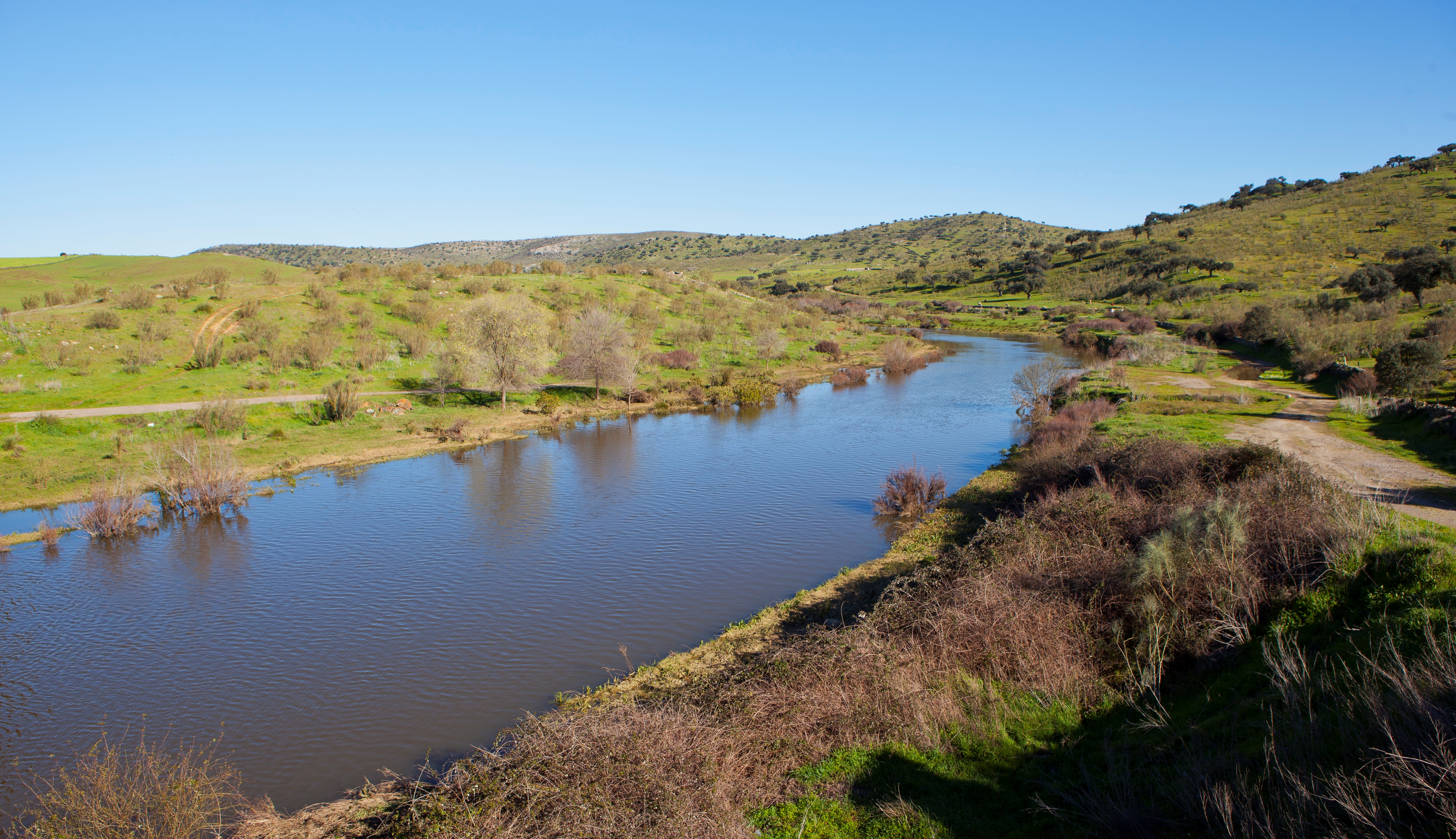 Río Ardila. 2013