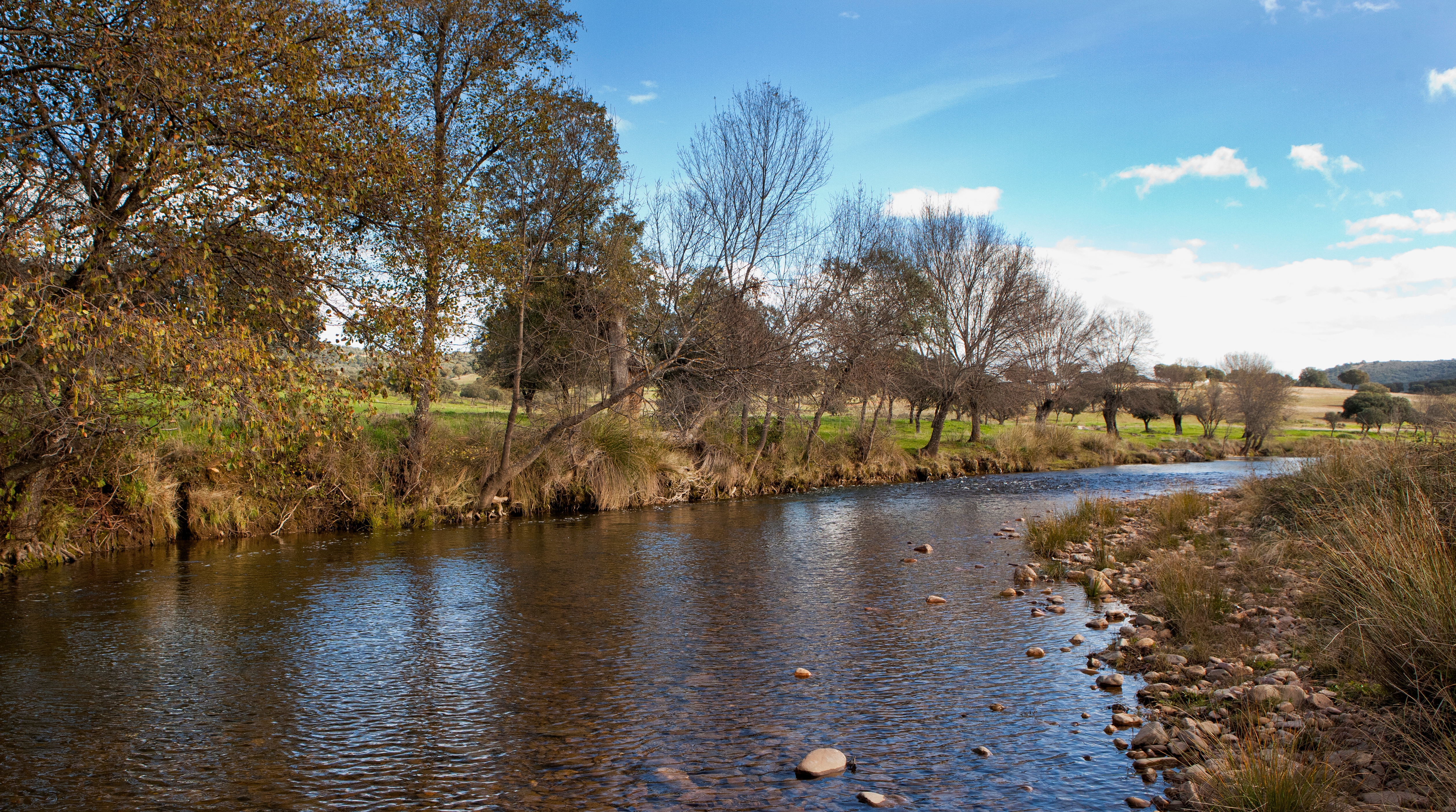 Río Estena. 2014