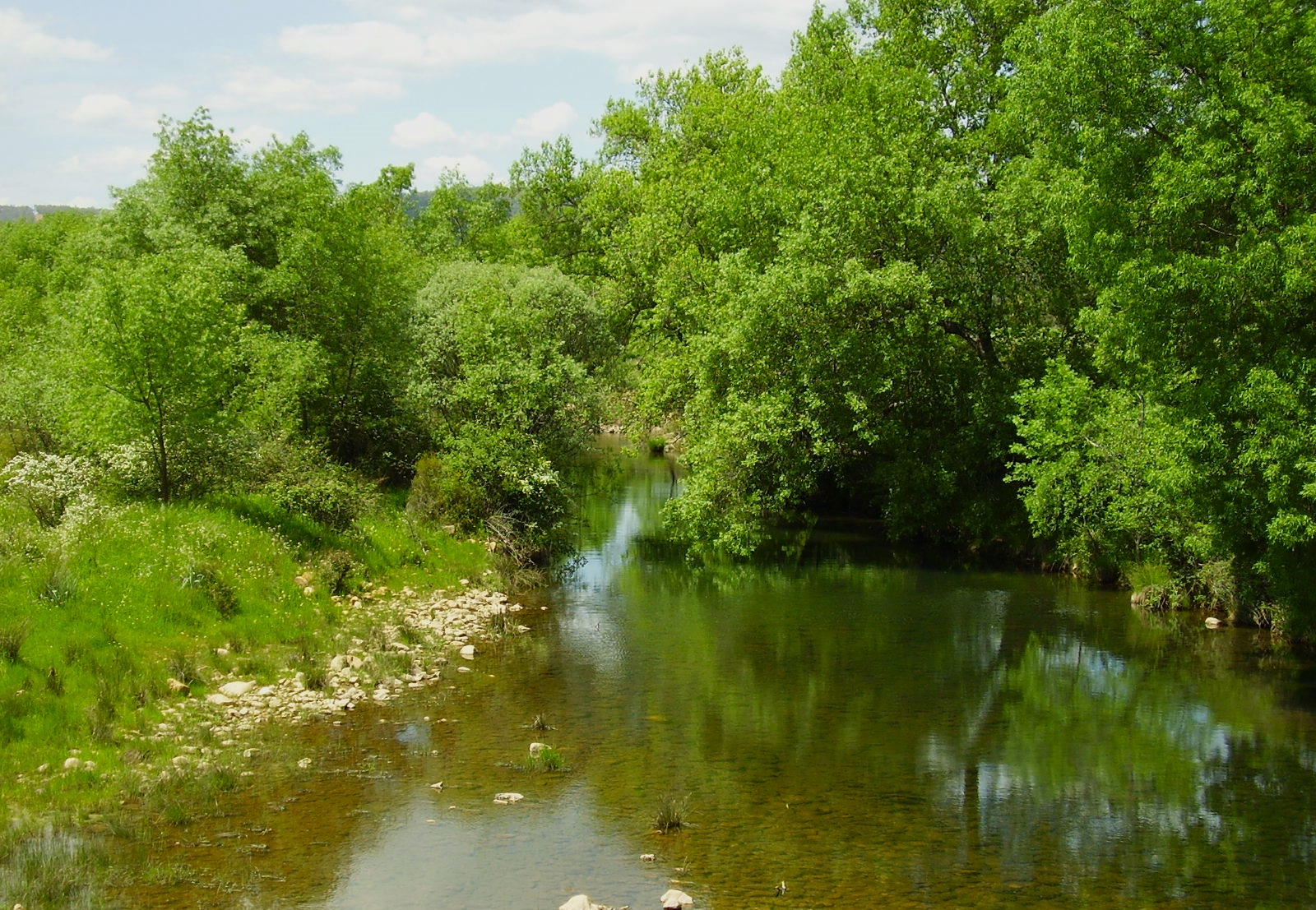 Río Guadarranque desde el azud. 2006