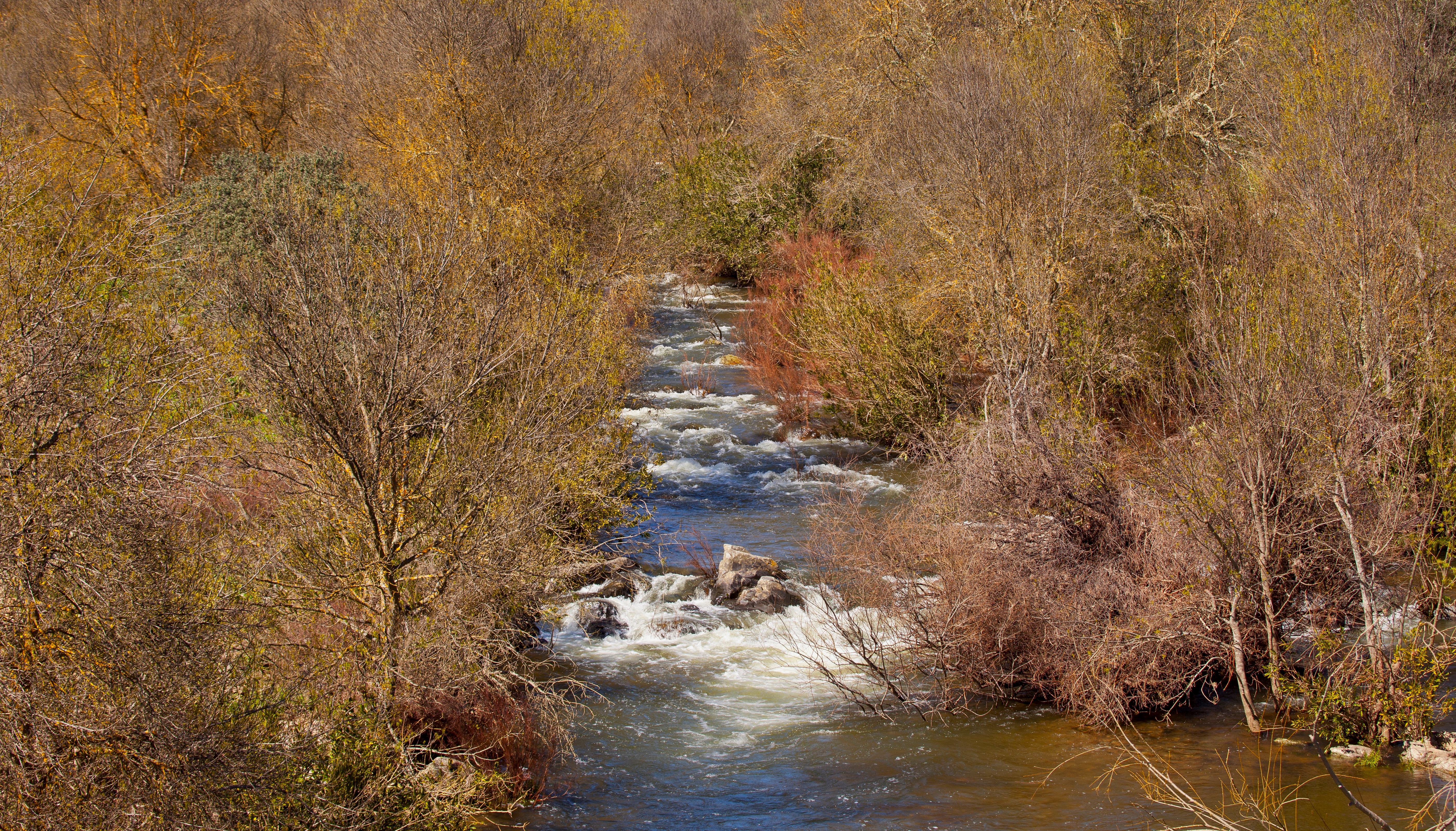 Río Sillo. 2013