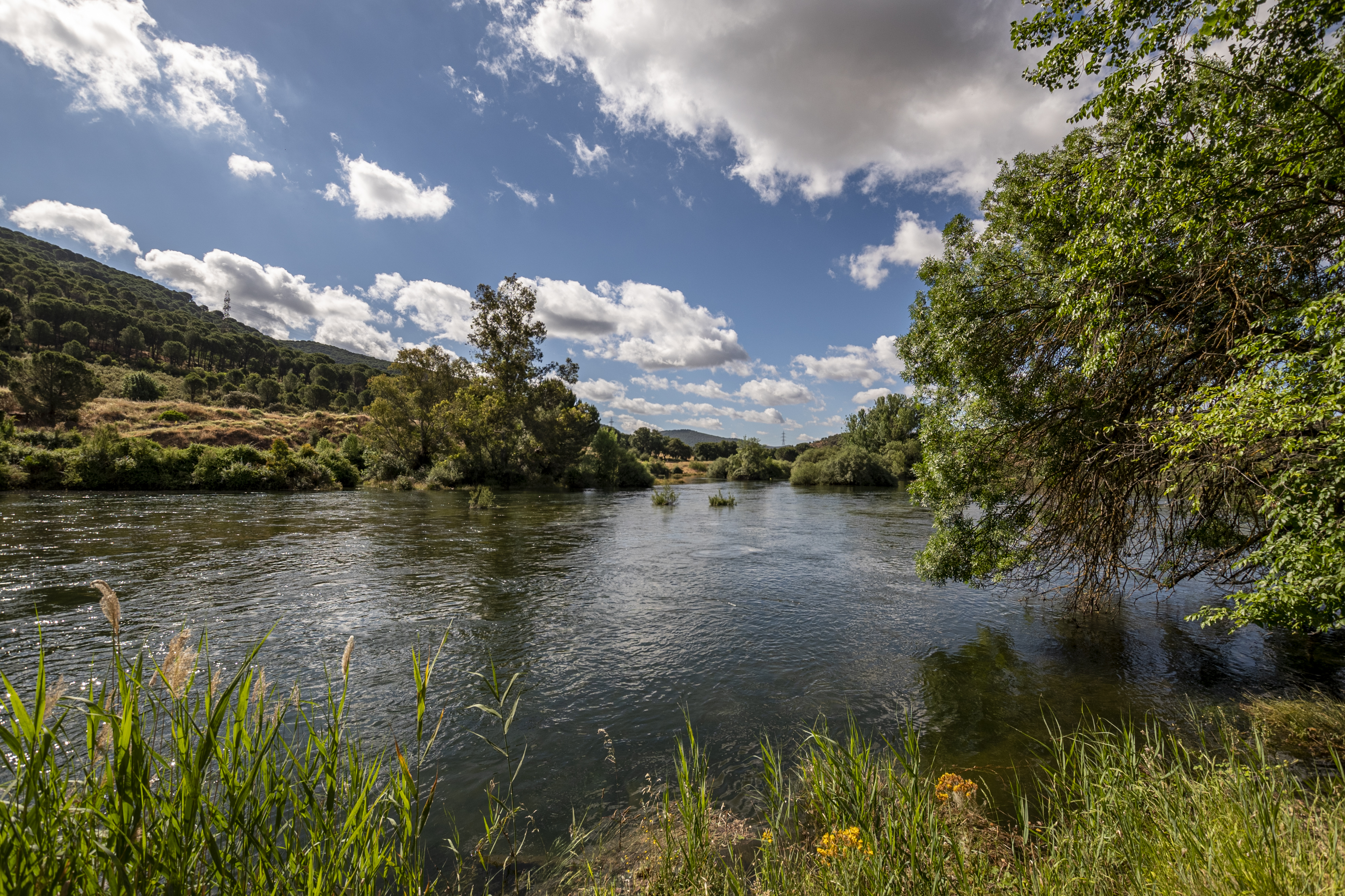 Río Guadiana. 2022