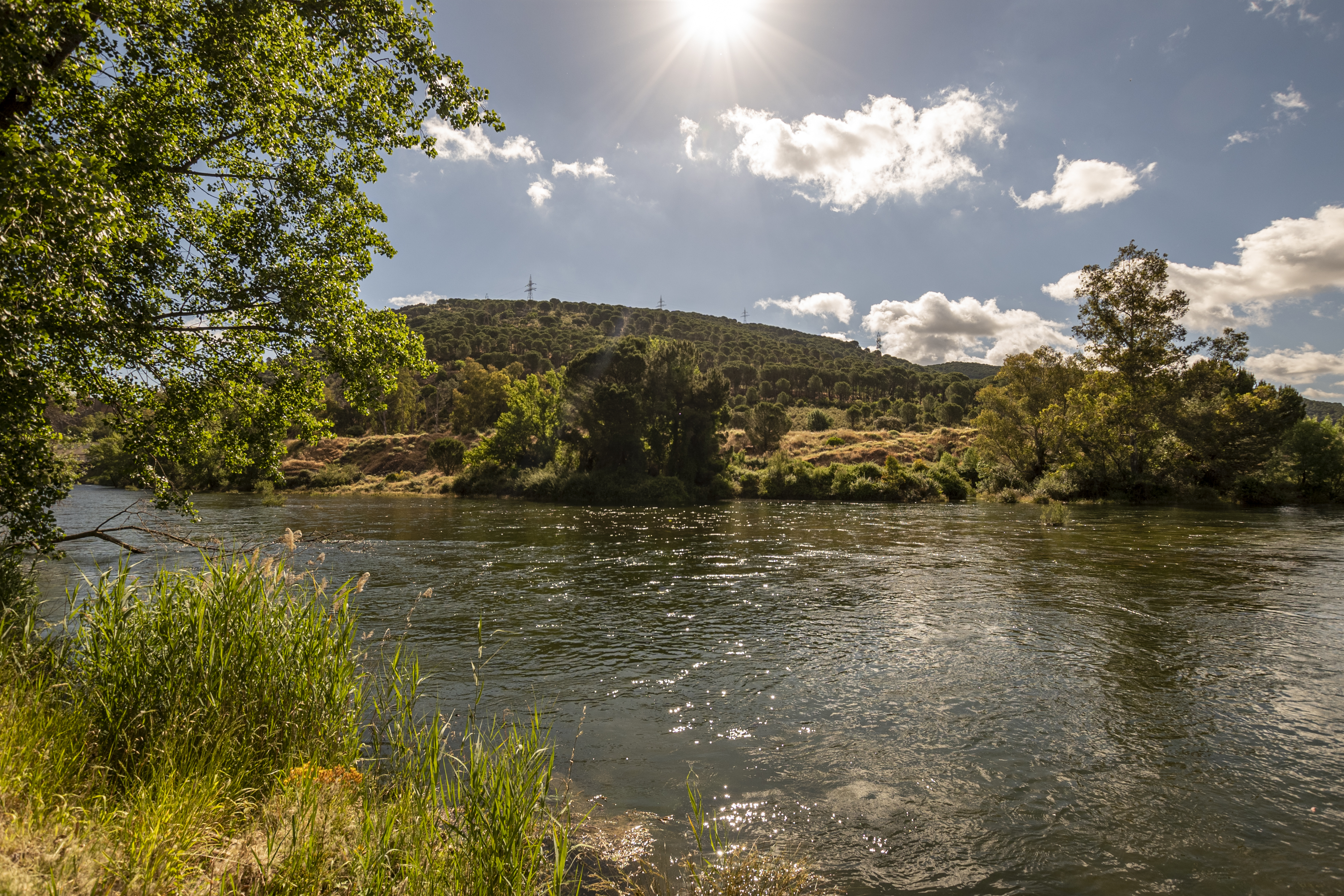 Río Guadiana