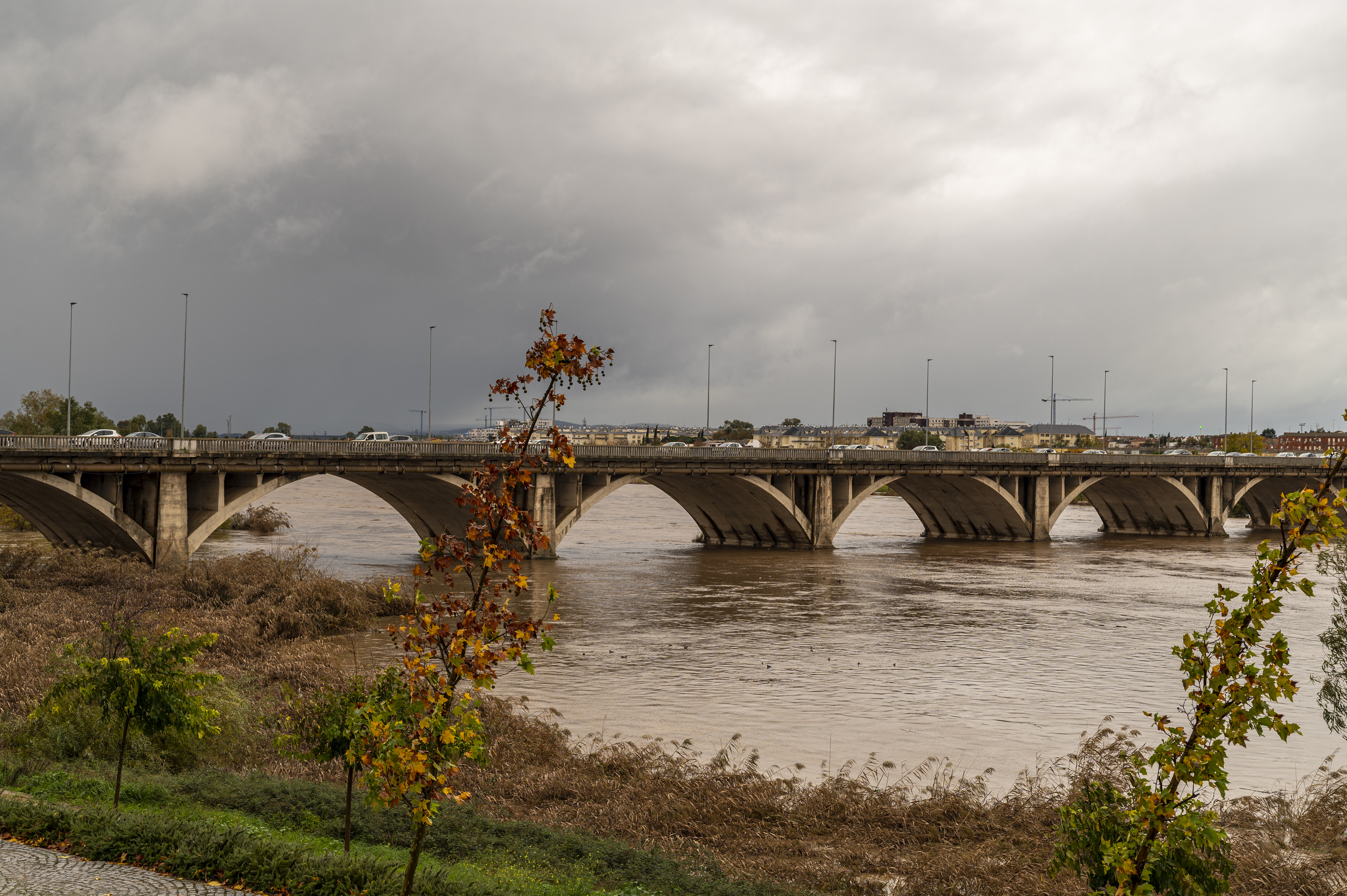 Borrasca Efrain. Badajoz. Diciembre 2022