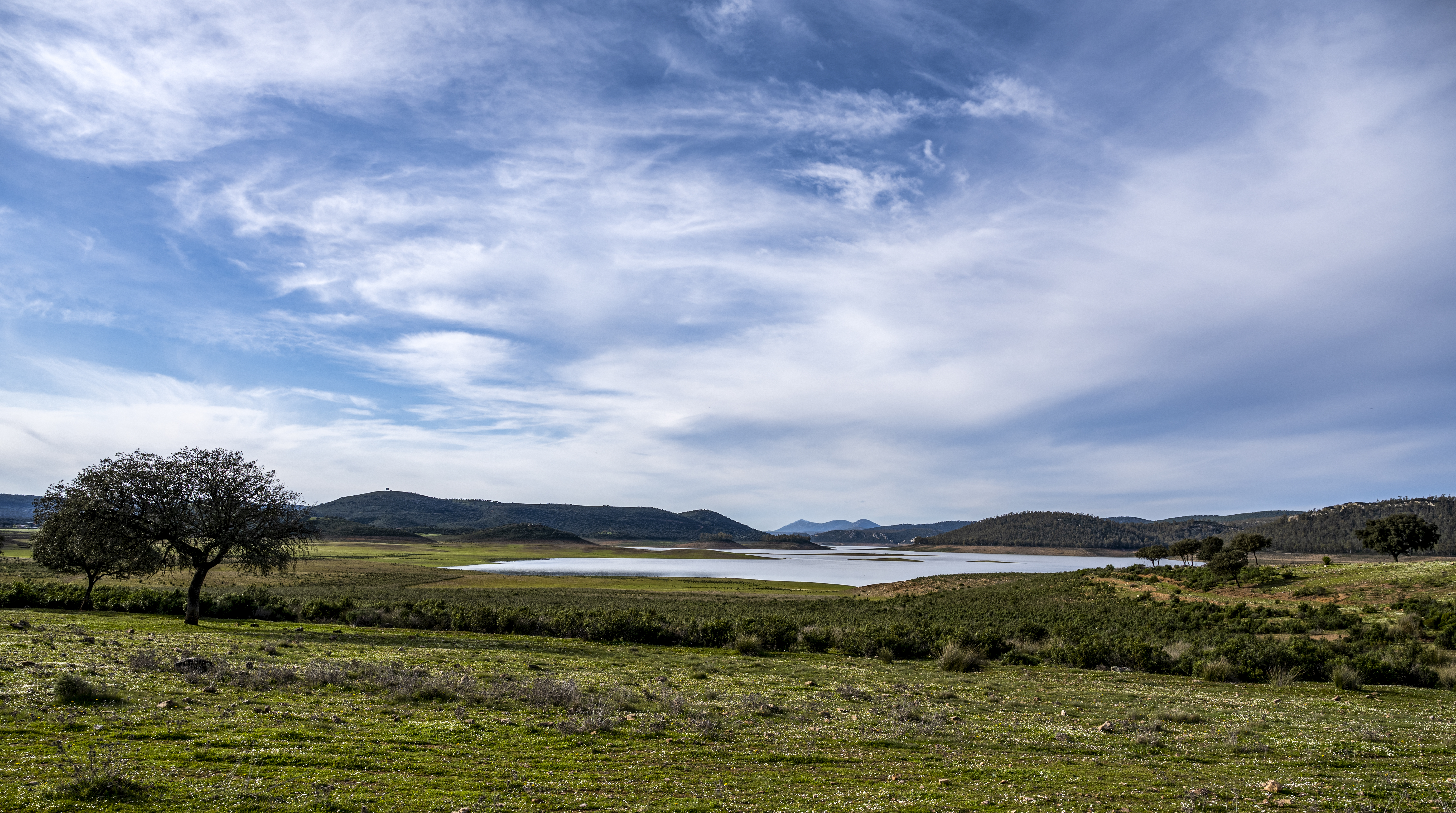 Cola Embalse Cijara. Marzo 2024