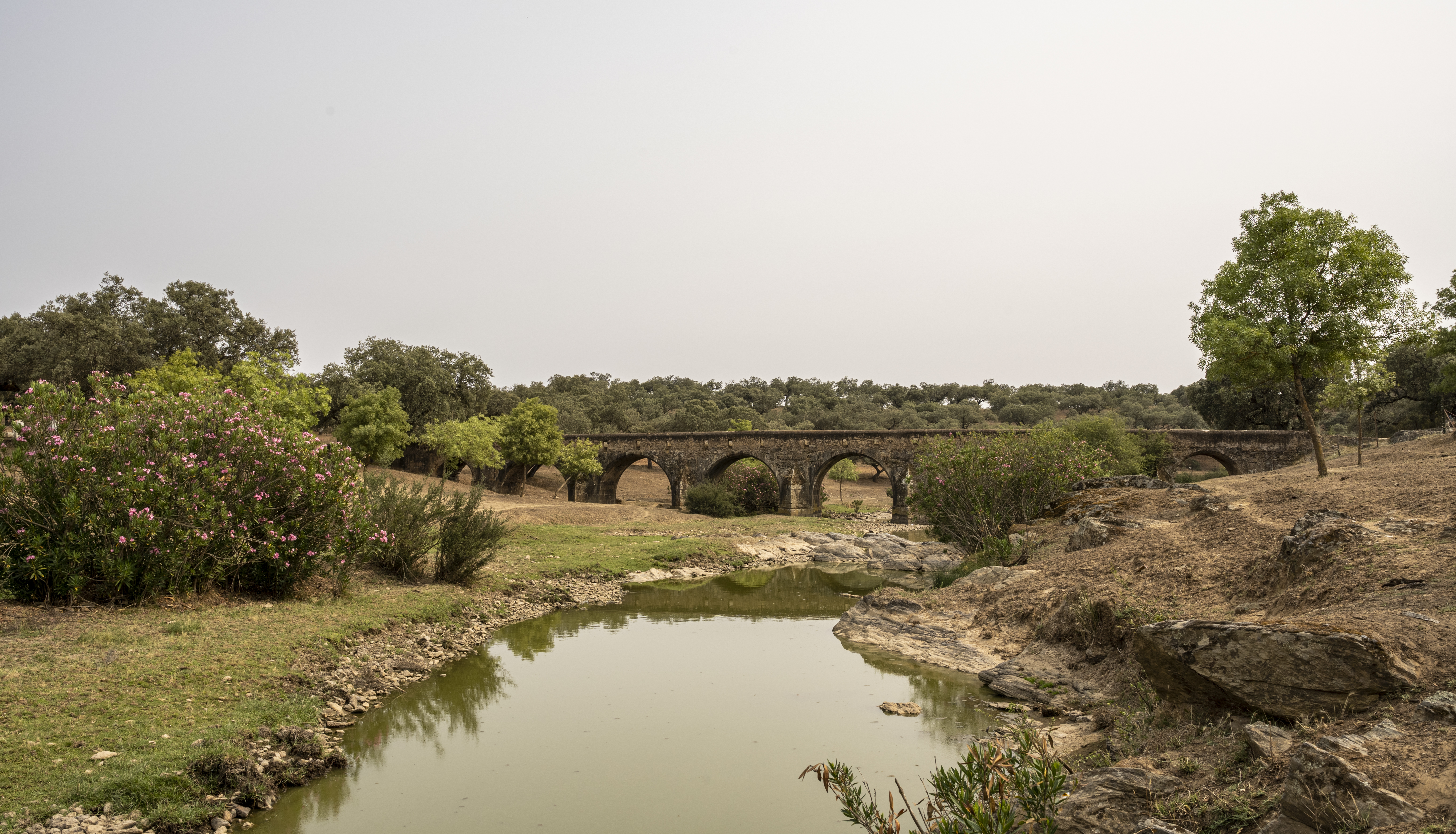 Puente La Bogañarío. Río Alcarrache. Febrero 2023