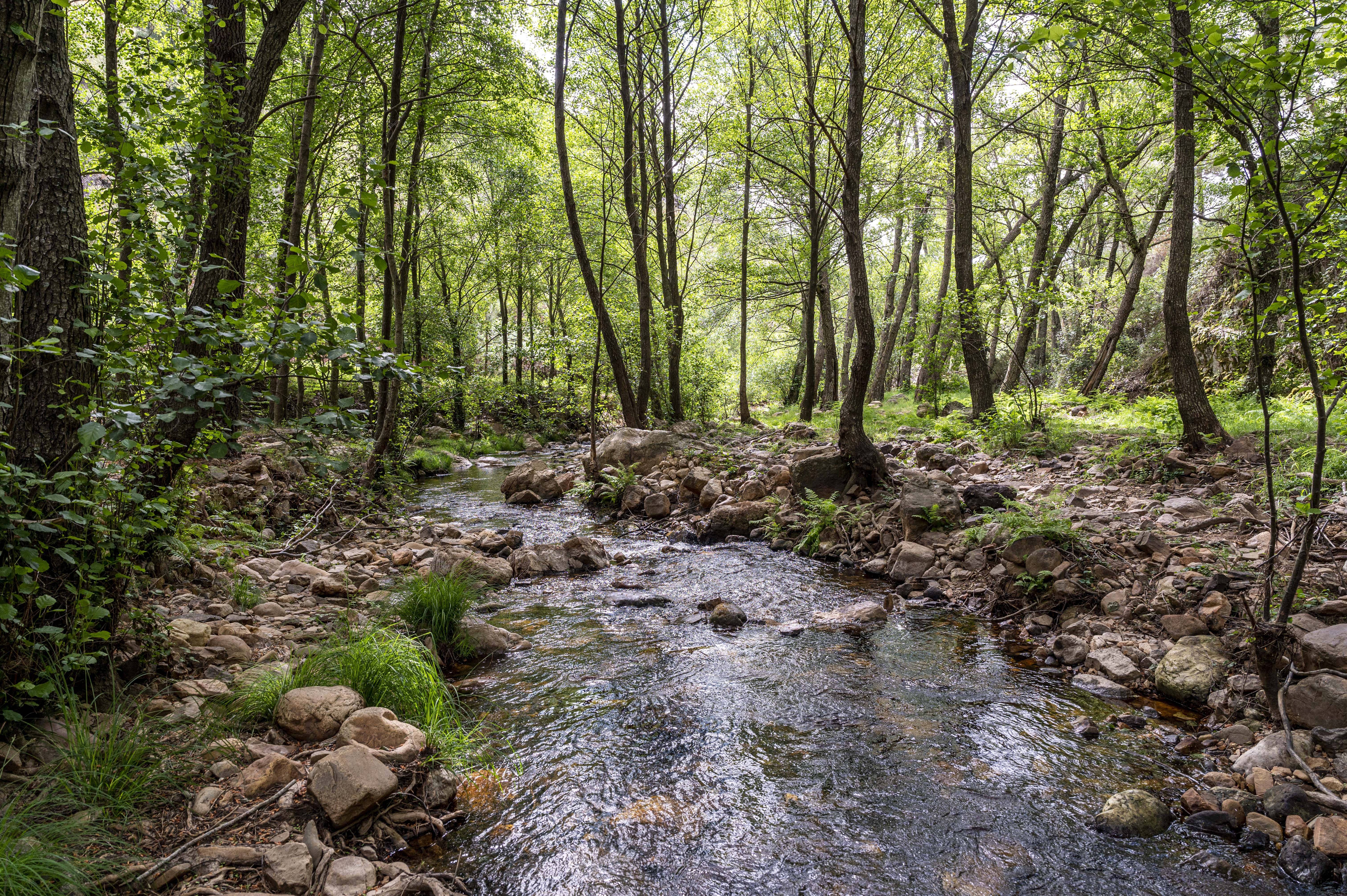 Río Ruecas. Abril 2023