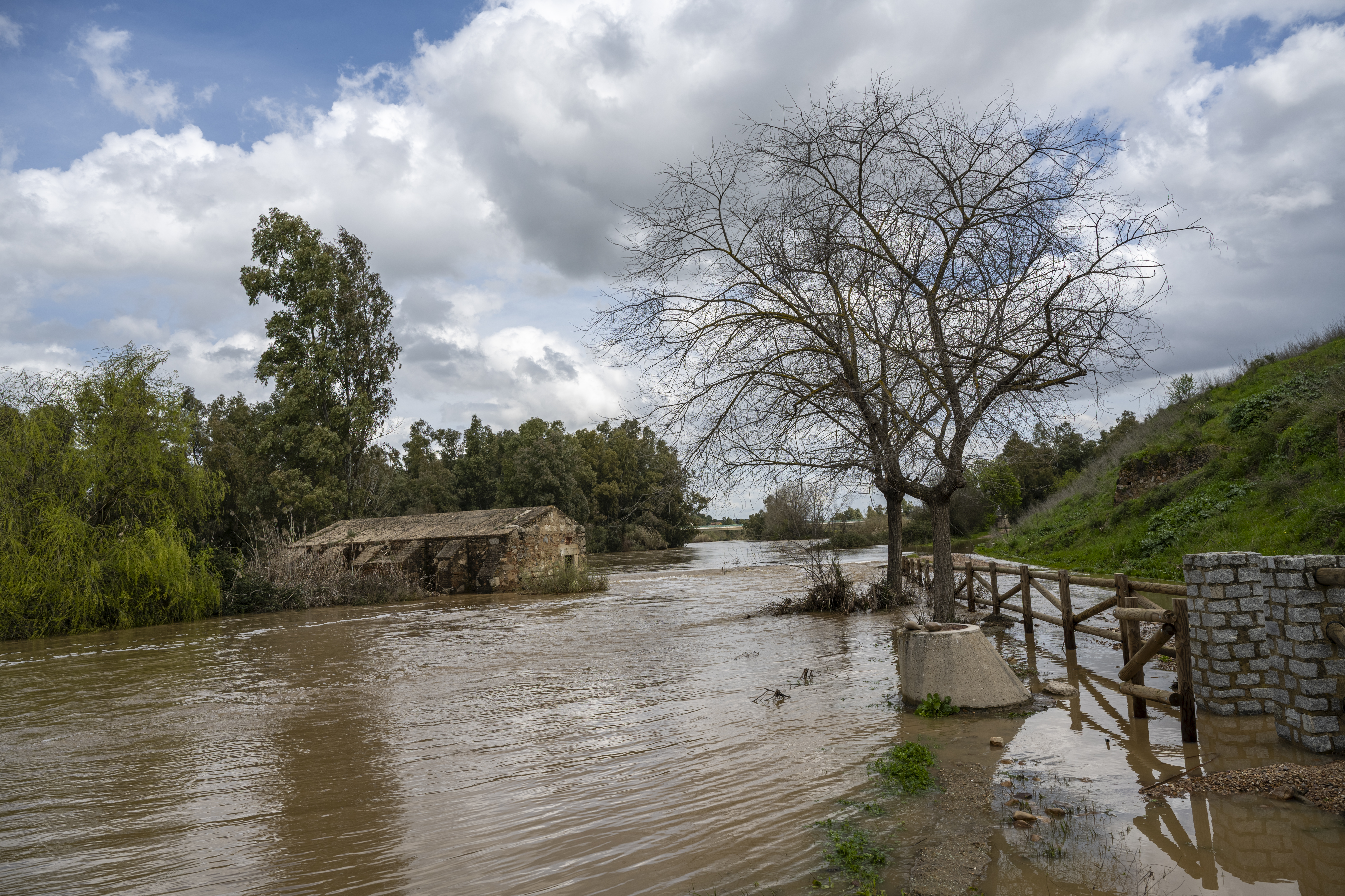 Borrasca Laurence, Río Guadiana Medellín. 2025.