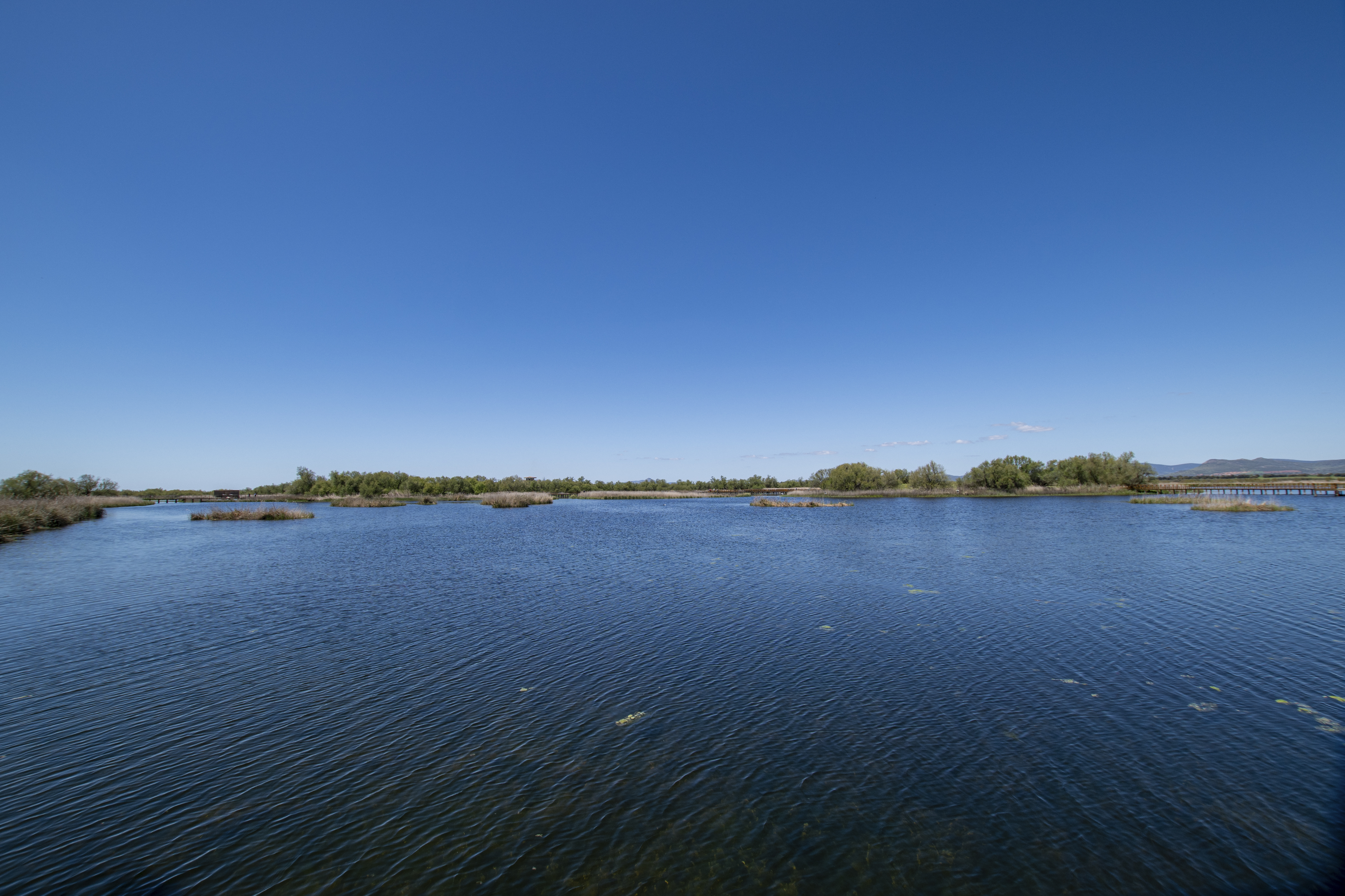 Parque Nacional de Las Tablas de Daimiel (III). 2025
