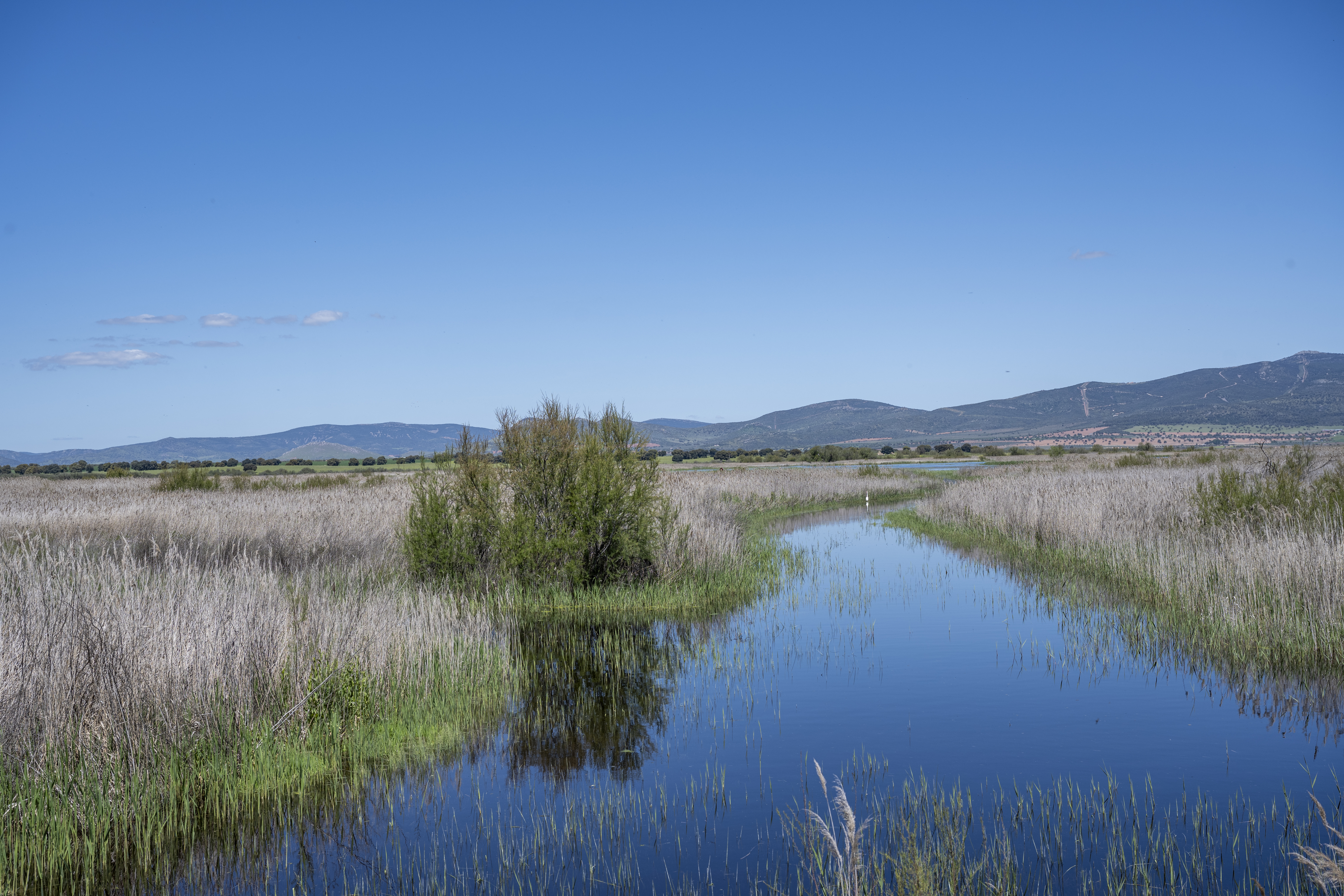 Parque Nacional de Las Tablas de Daimiel (X). 2025