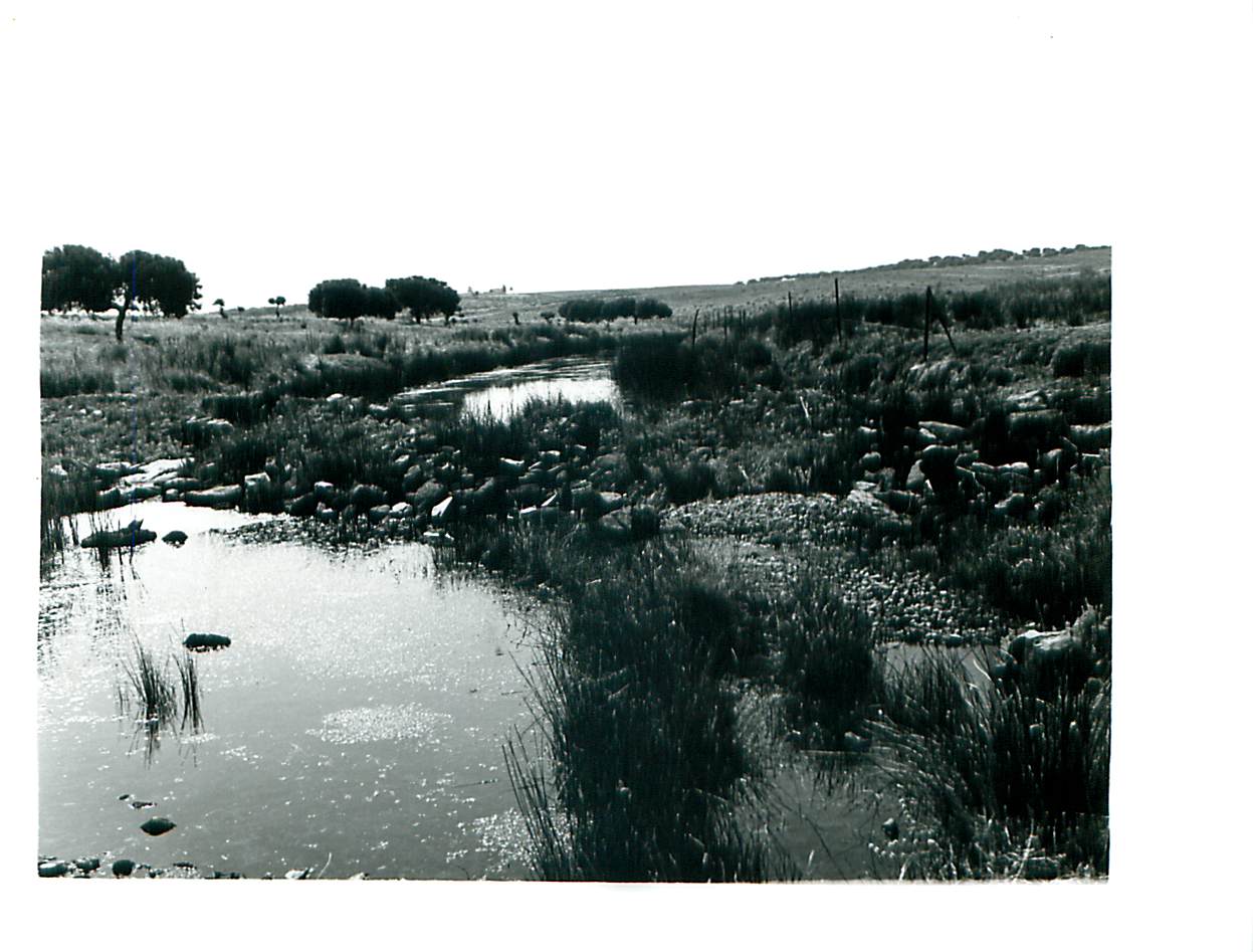 Río Búrdalo a su paso por Escurial. Sin fechar