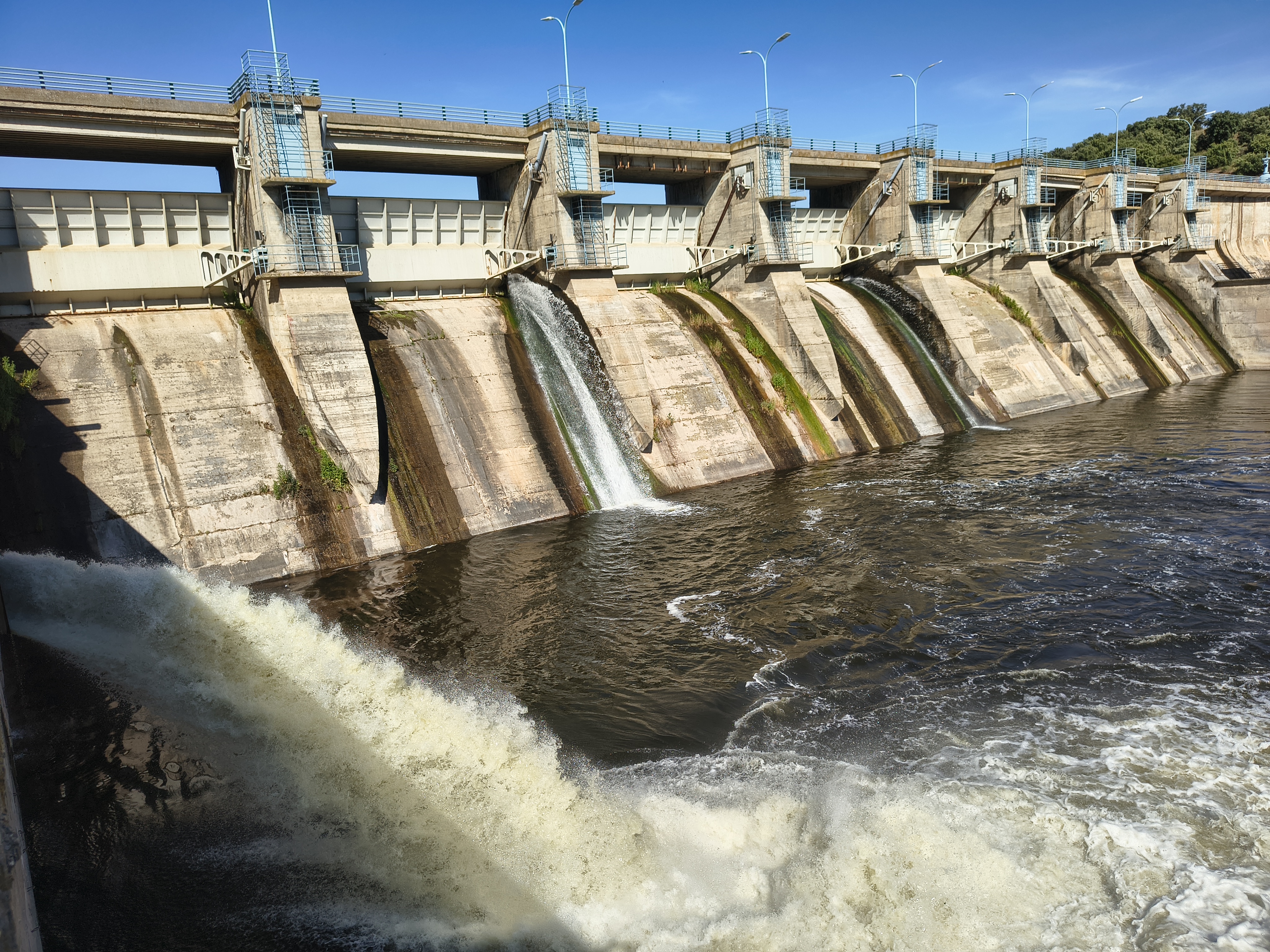 Presa de El Vicario. Mayo 2026