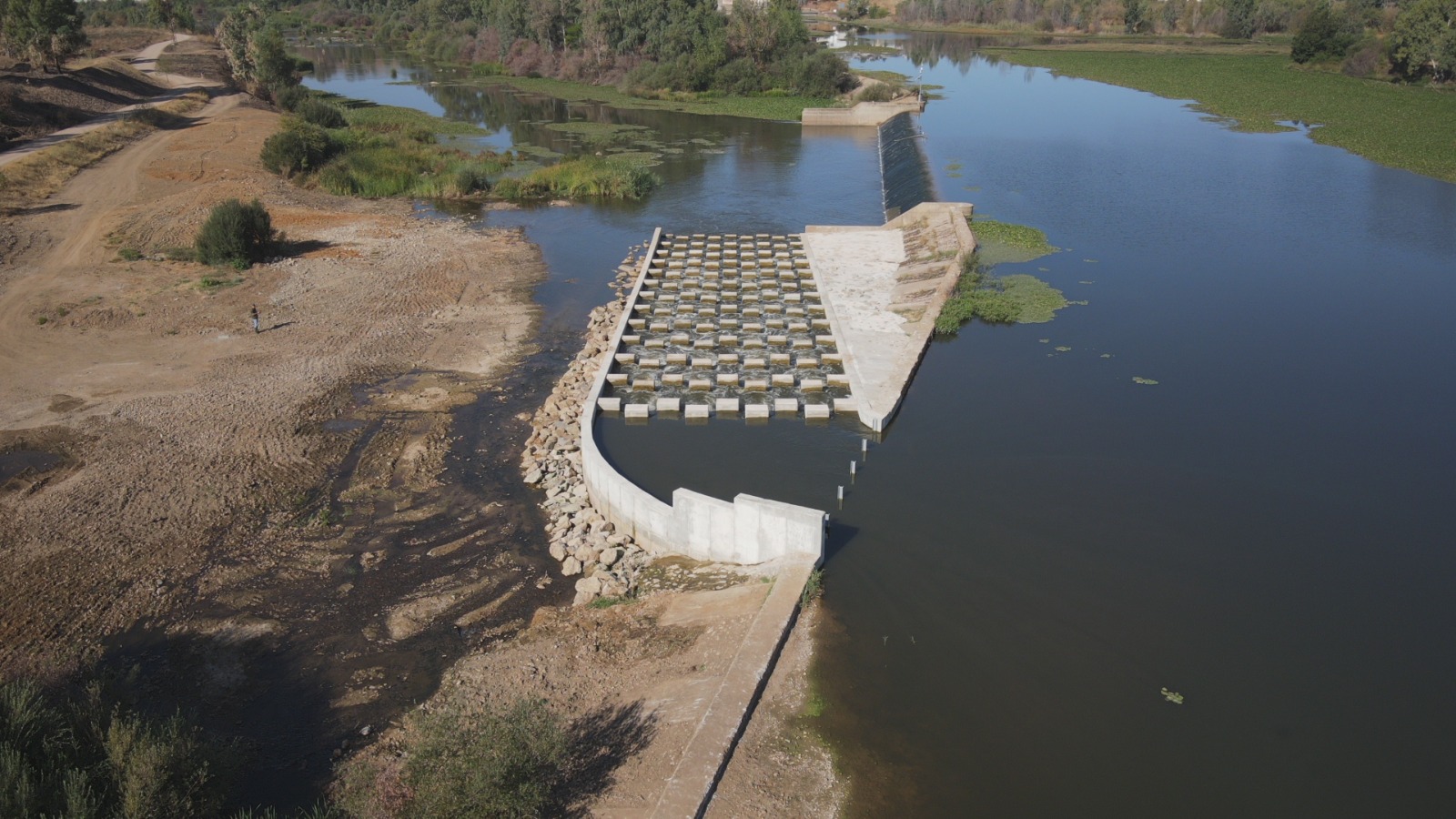 Escala de peces del azud de La Pesquera  (Badajoz). Octubre 2025