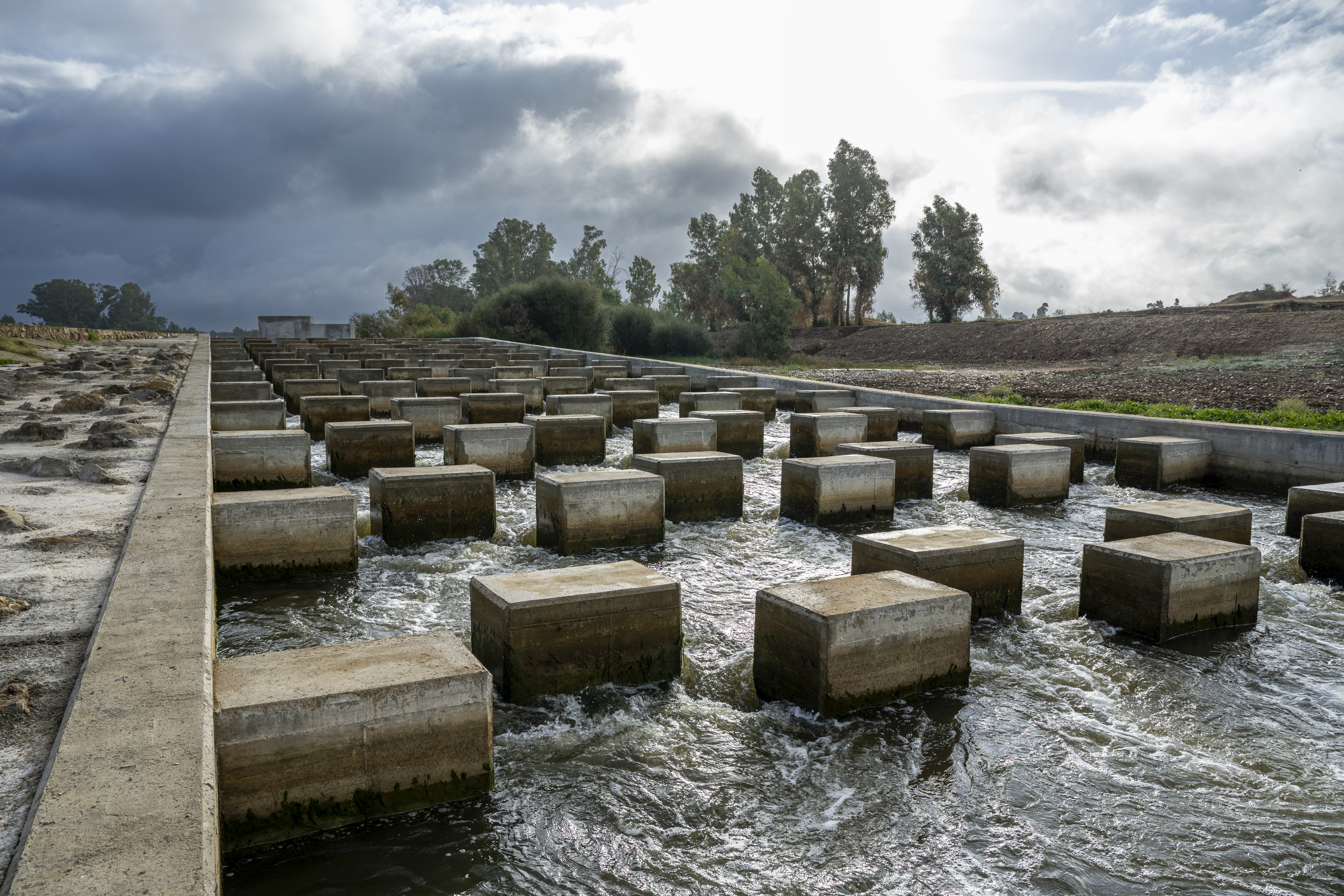 Escala de peces del azud de La Pesquera  (Badajoz). Octubre 2025