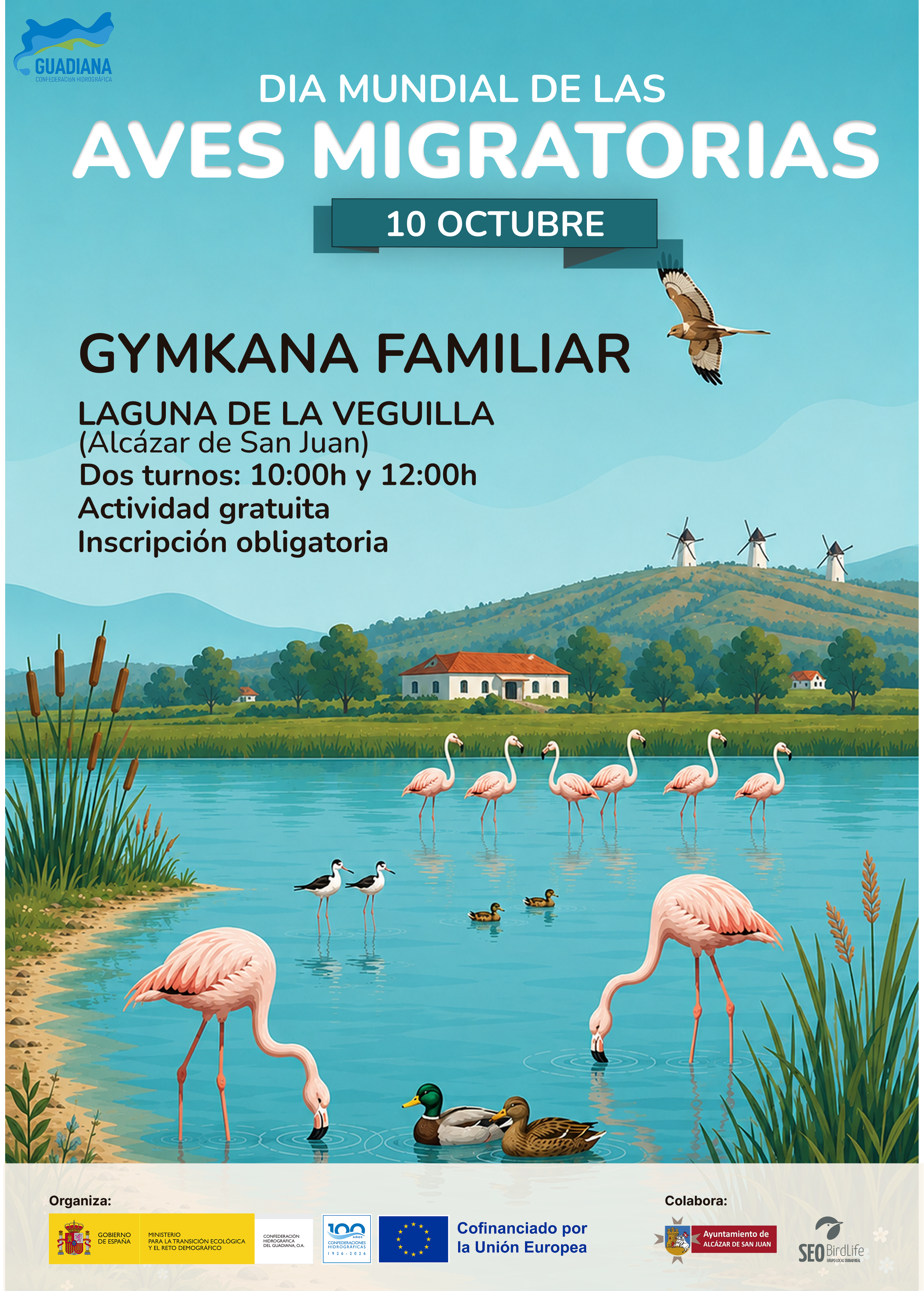Cartel Día Mundial de las Aves migratorias