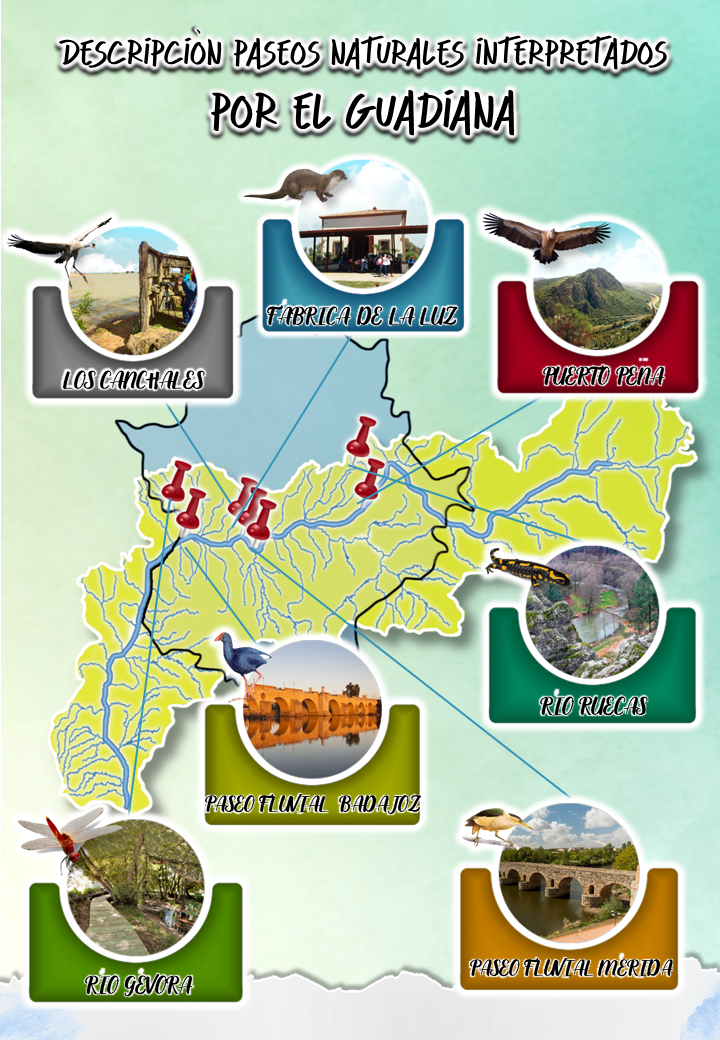 PASEOS NATURALES POR EL GUADIANA
