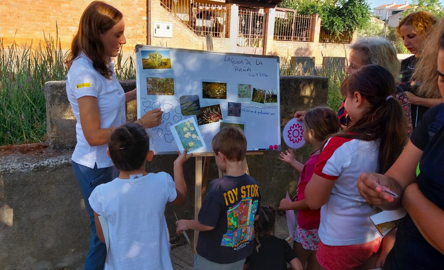 Actividad