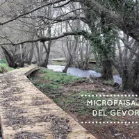 Micropaisajes del Gévora (La Codosera)