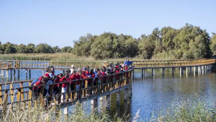 Escolares en Las Tablas
