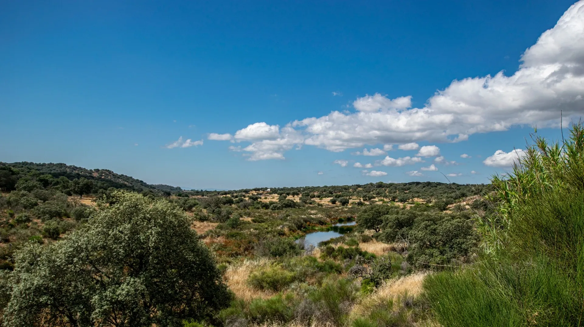 Guadiana, un río literario V