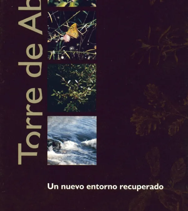 Torre de Abraham. Un nuevo entorno recuperado