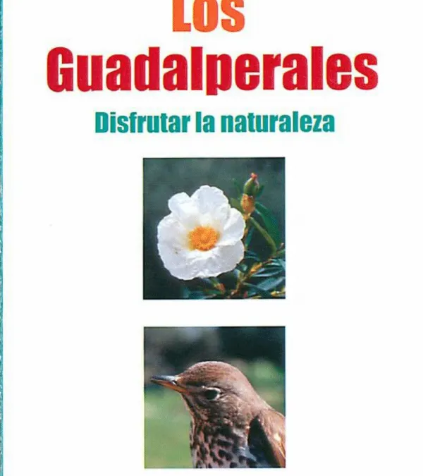 Los Guadalperales. Enlace a PDF.