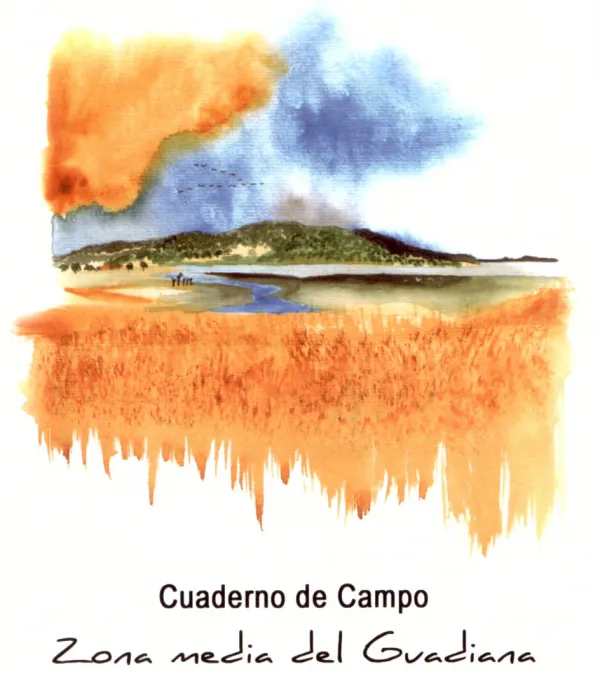 Cuaderno de Campo. Enlace a PDF.