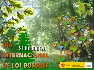 Día Internacional de los Bosques, 21 de marzo