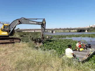 Trabajos retirada camalote Badajoz