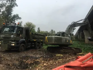 Retirada de camalote