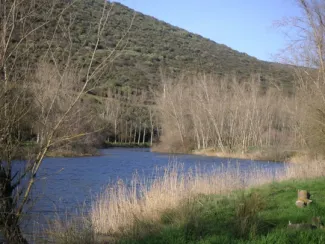 Bullaque