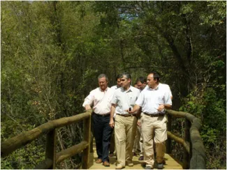 Visita