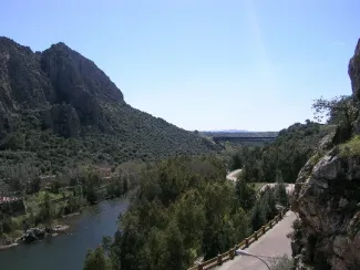 Viaductos