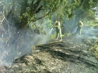 Incendio