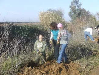 Voluntarios