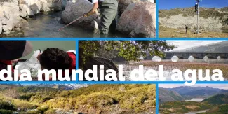 Día Mundial del Agua