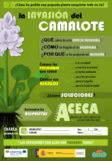 Charlas informativas camalote