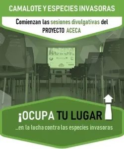Cartel ACECA